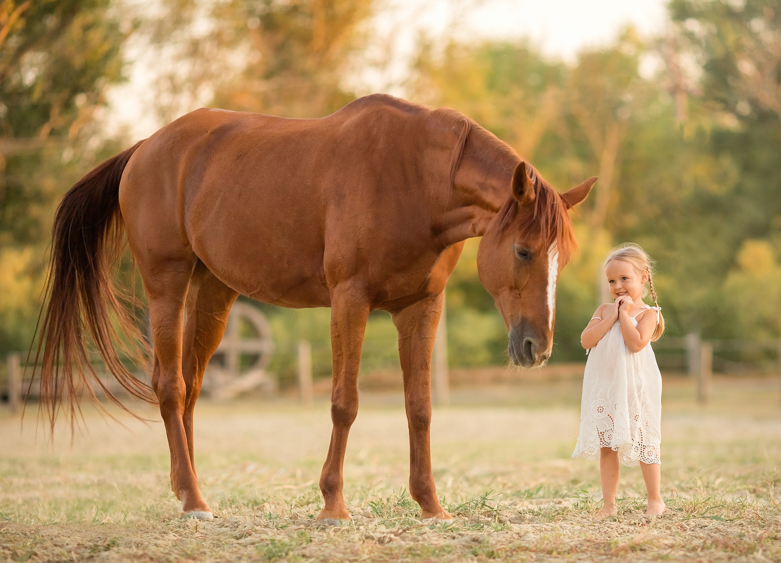 Олеся Семейская свадебный и семейный фотограф в Ростове-на-Дону