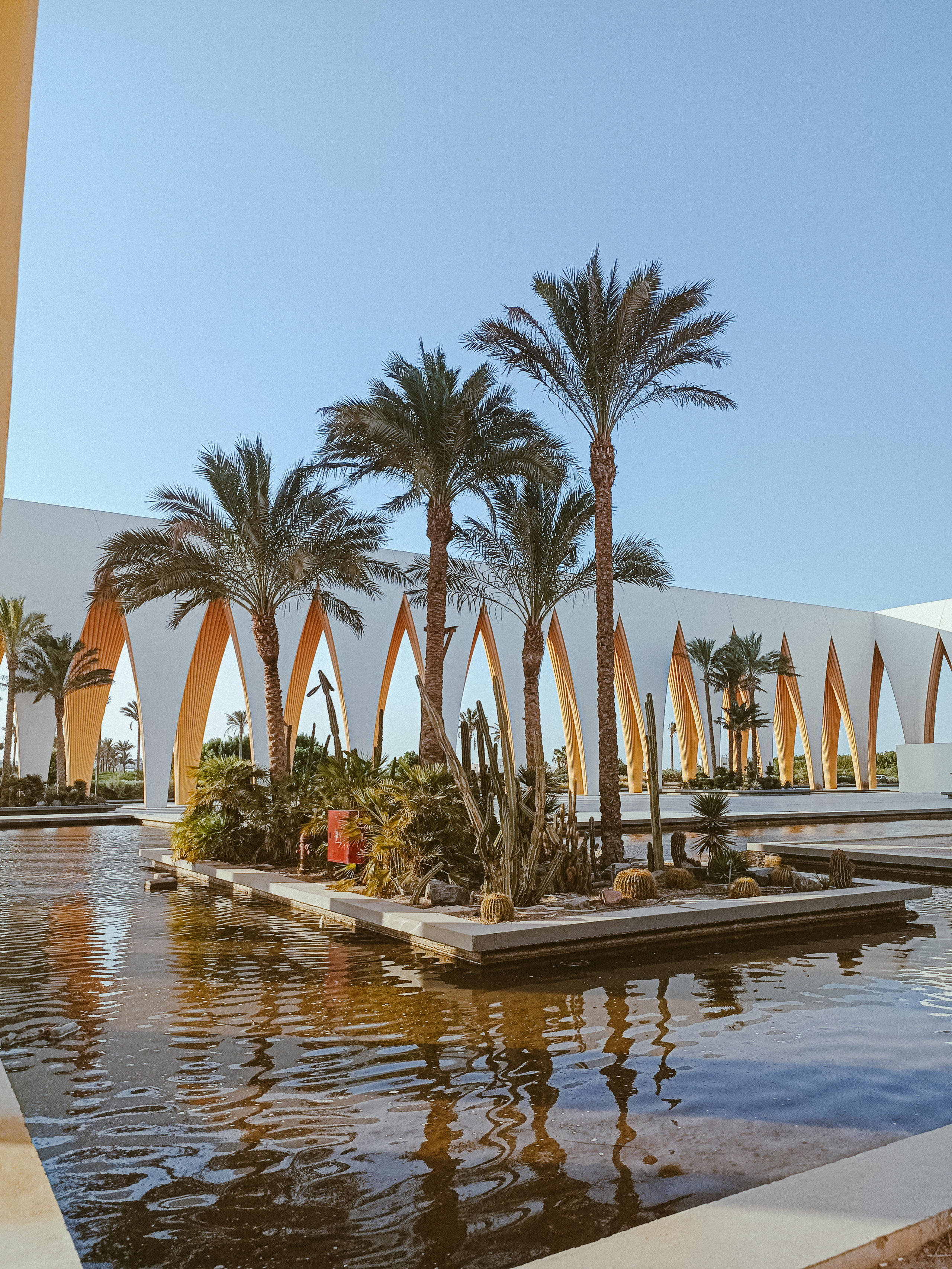 Мобильная. Jorgis — фотограф в Хургаде / обучение фотографии