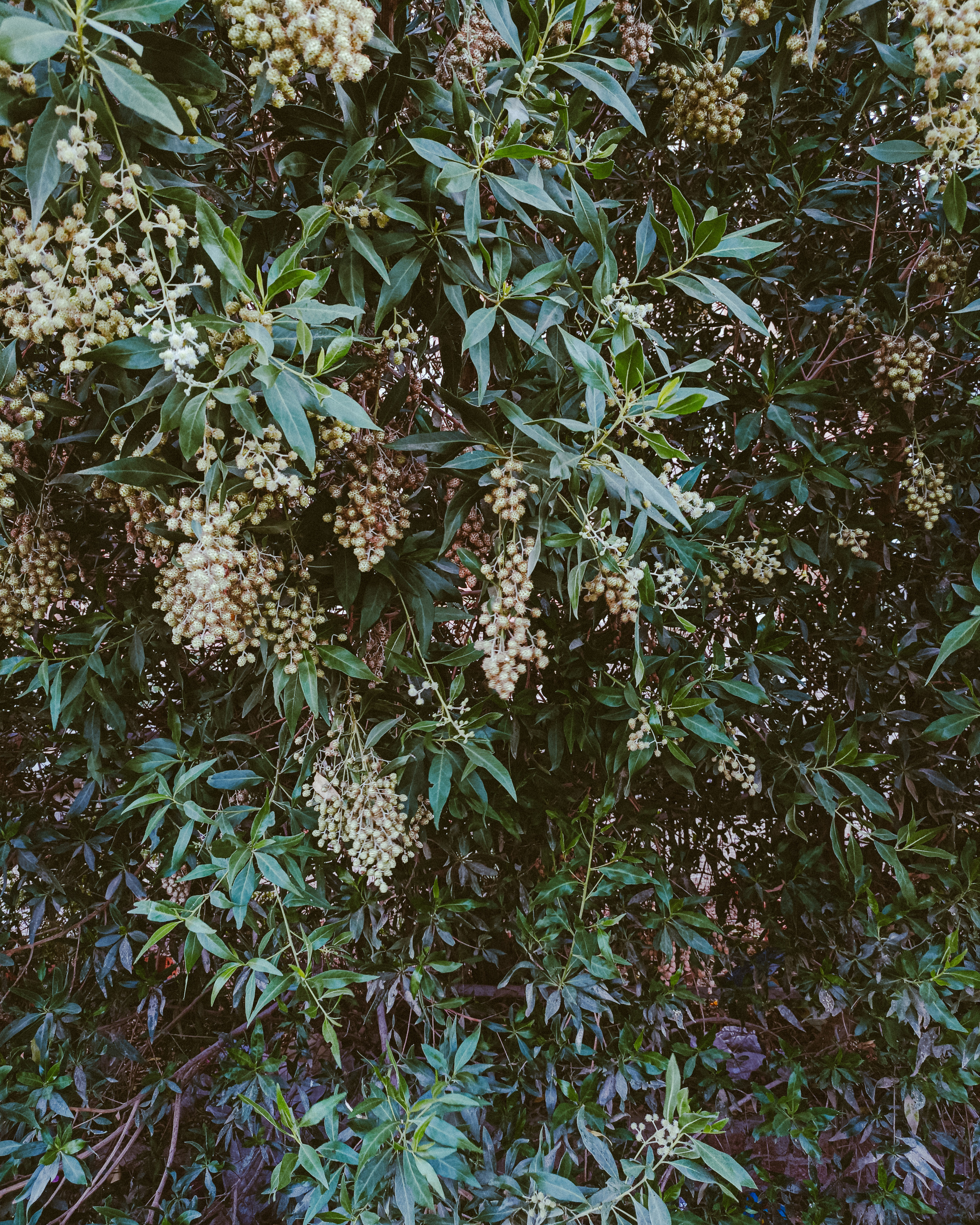 Мобильная. Jorgis — фотограф в Хургаде / обучение фотографии