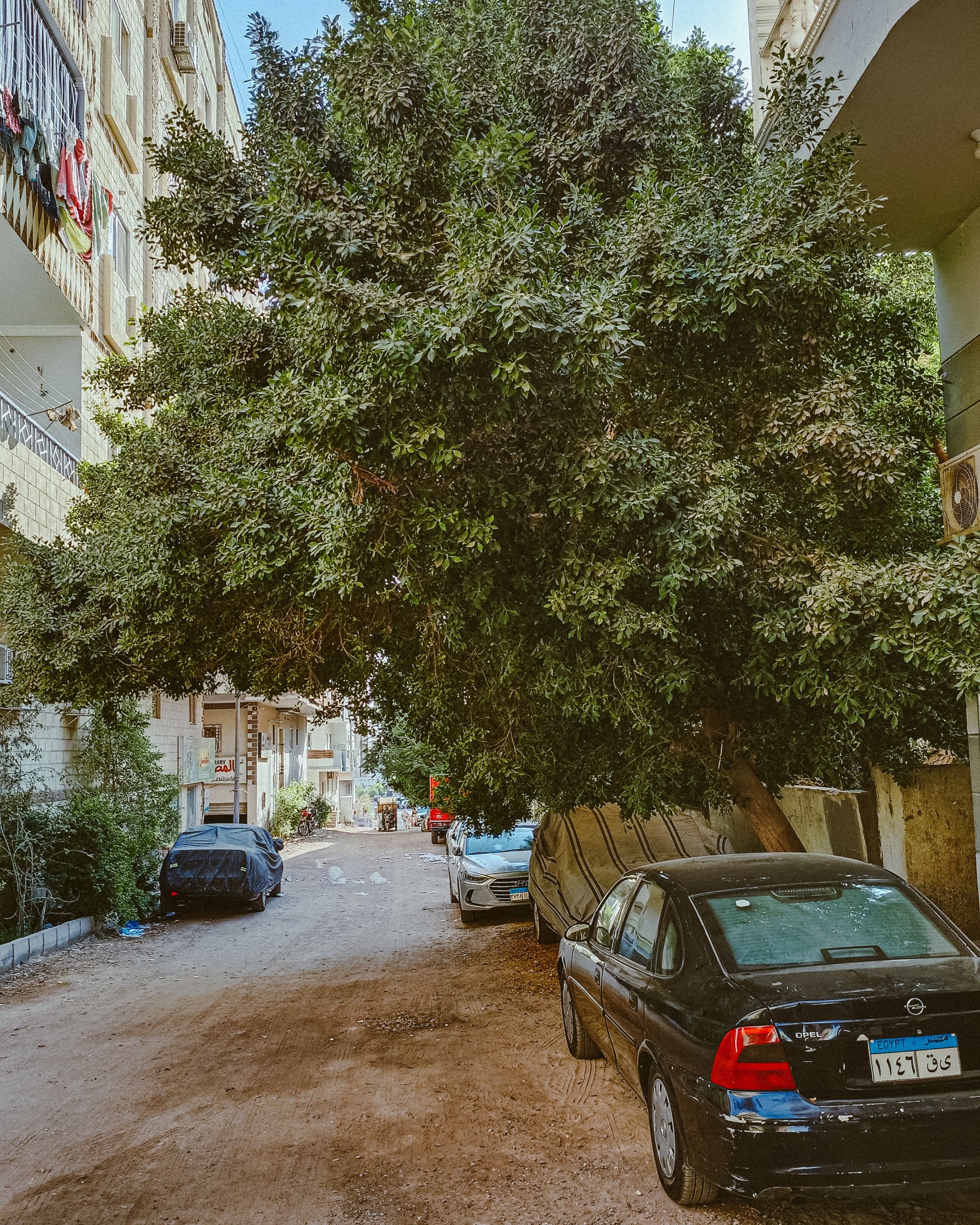 Мобильная. Jorgis — фотограф в Хургаде / обучение фотографии