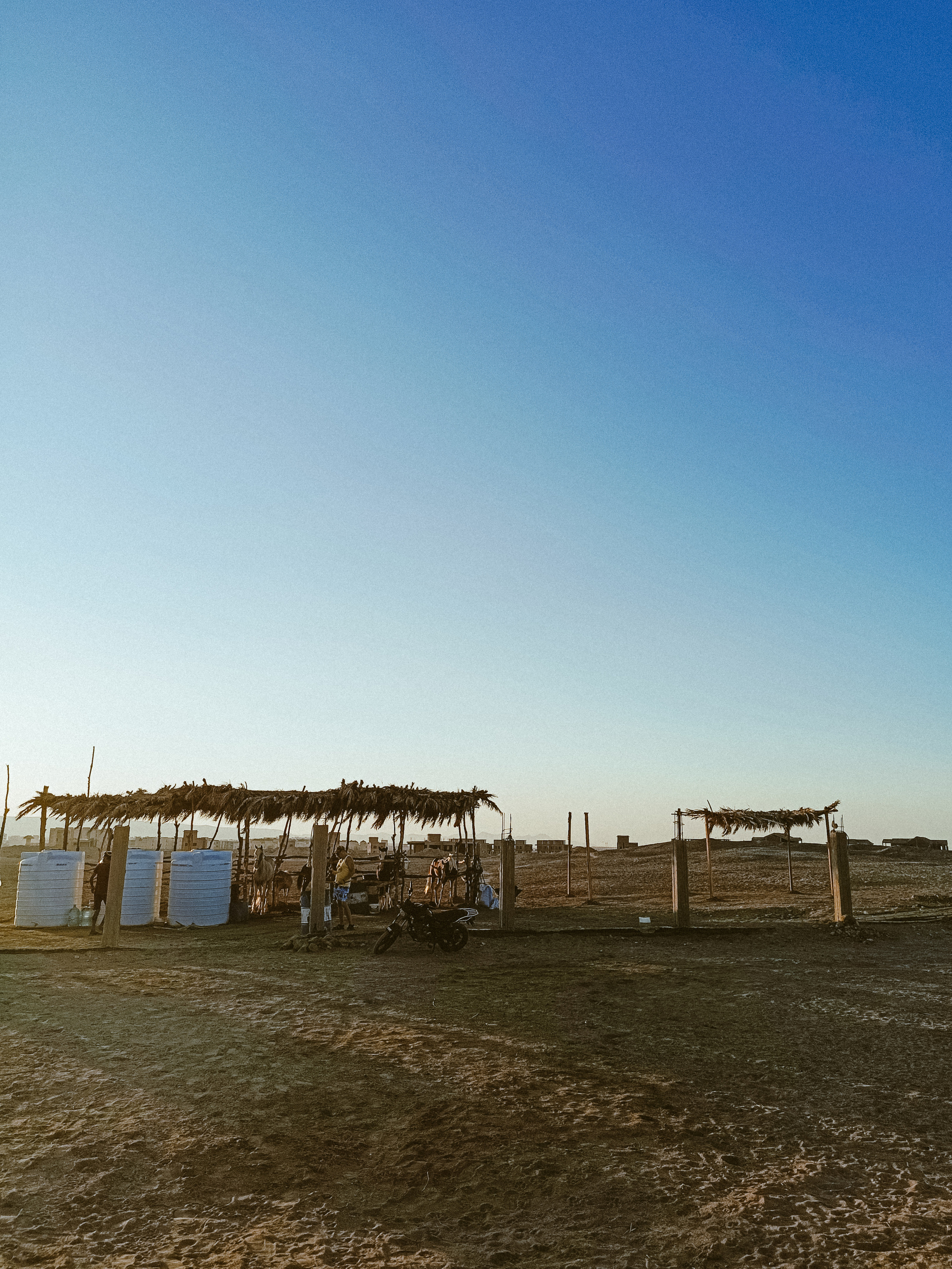 Мобильная. Jorgis — фотограф в Хургаде / обучение фотографии