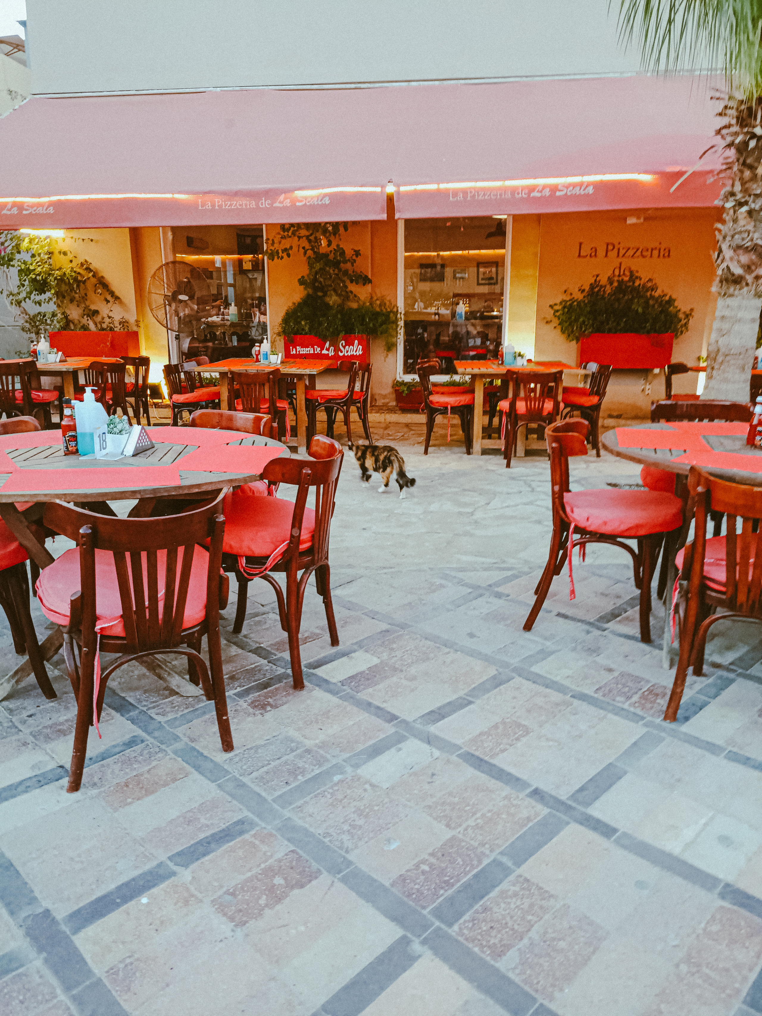 Мобильная. Jorgis — фотограф в Хургаде / обучение фотографии