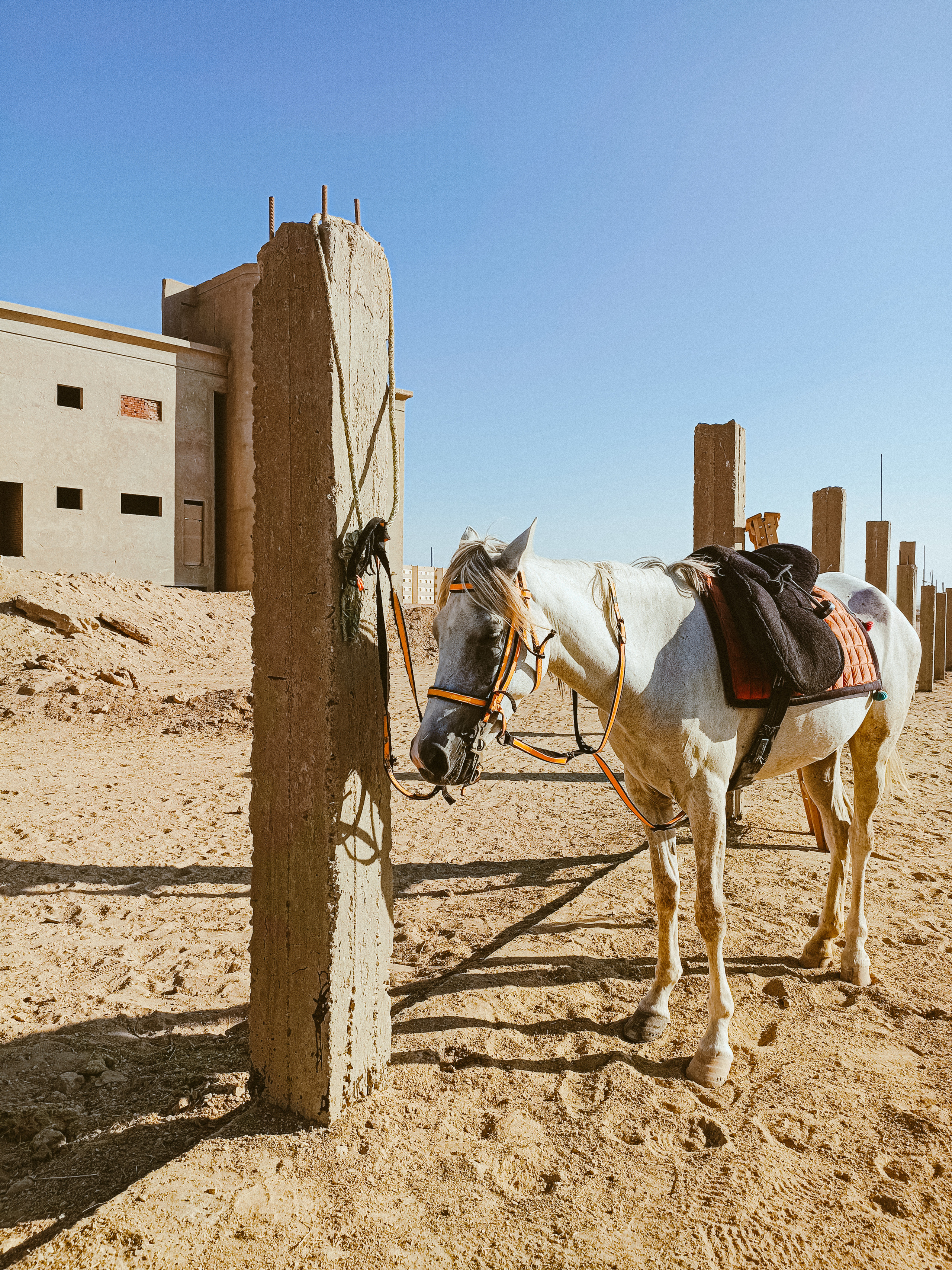 Мобильная. Jorgis — фотограф в Хургаде / обучение фотографии