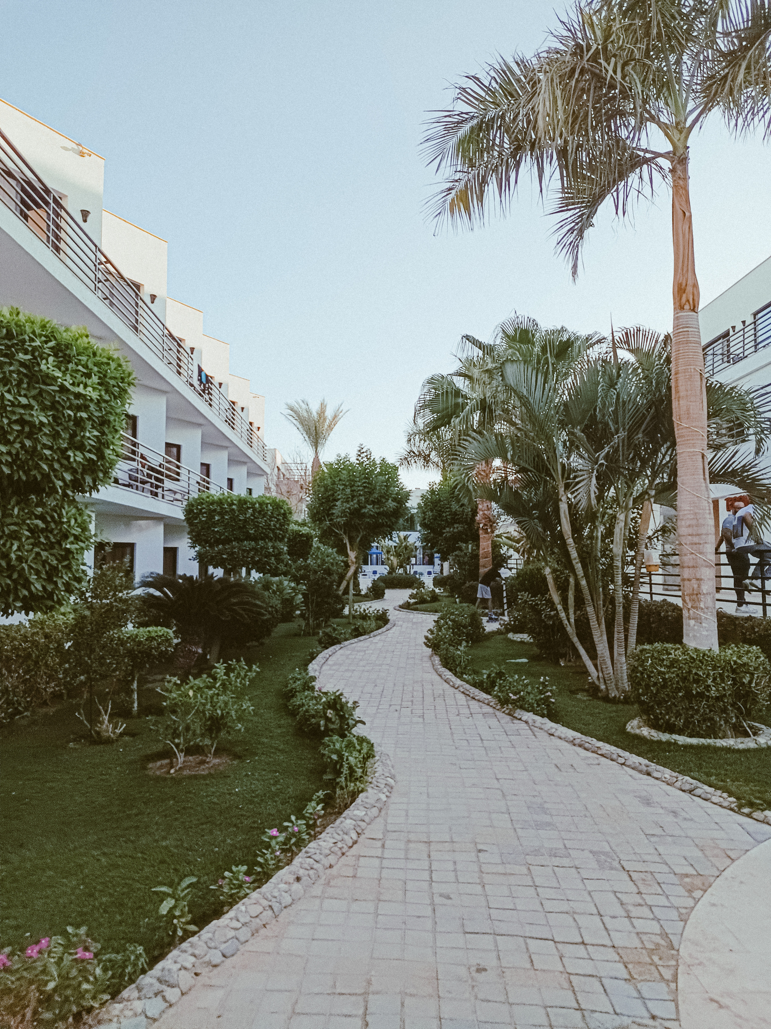 Мобильная. Jorgis — фотограф в Хургаде / обучение фотографии