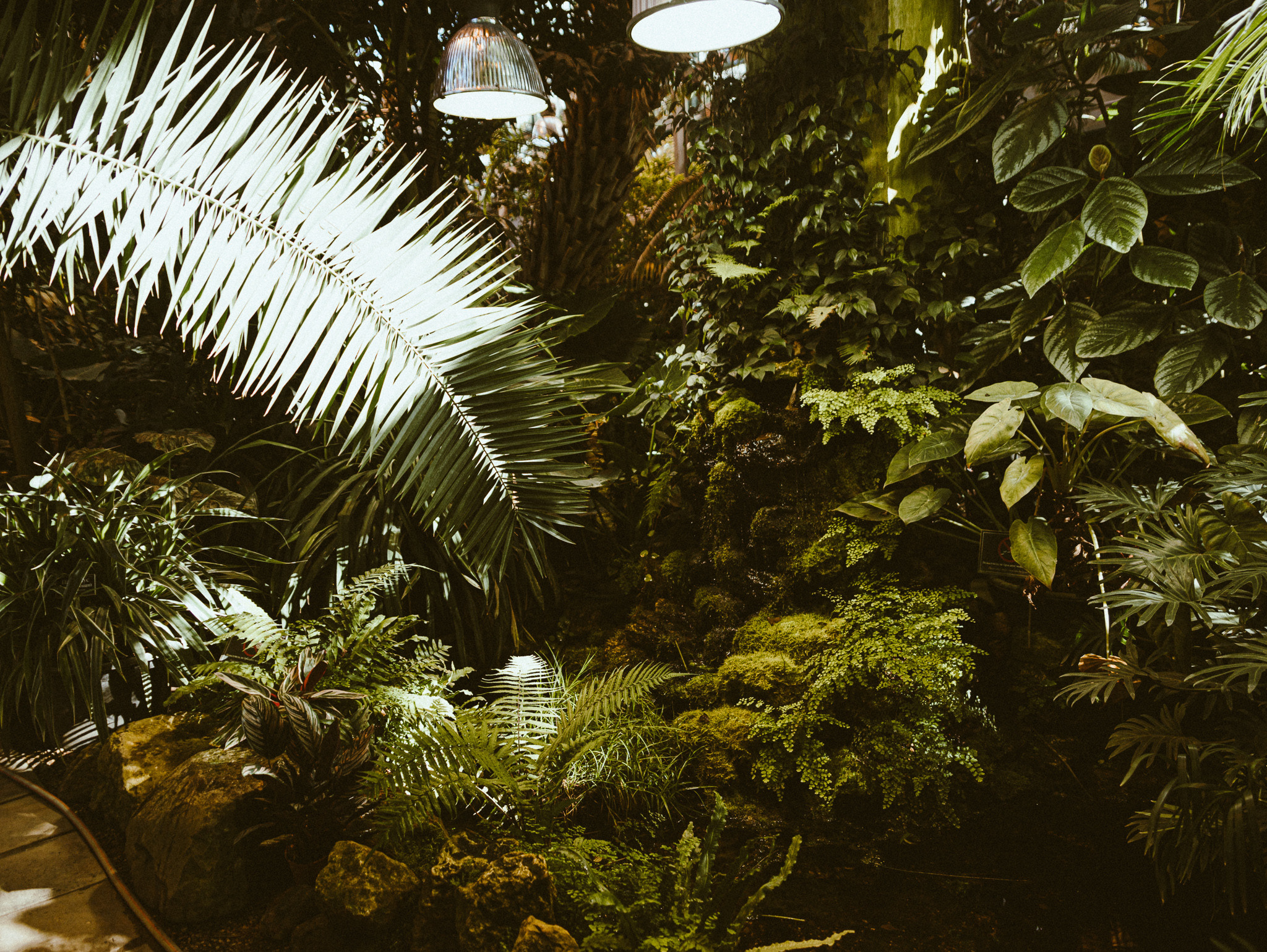 Улица горизонтальная. Jorgis — фотограф в Хургаде / обучение фотографии