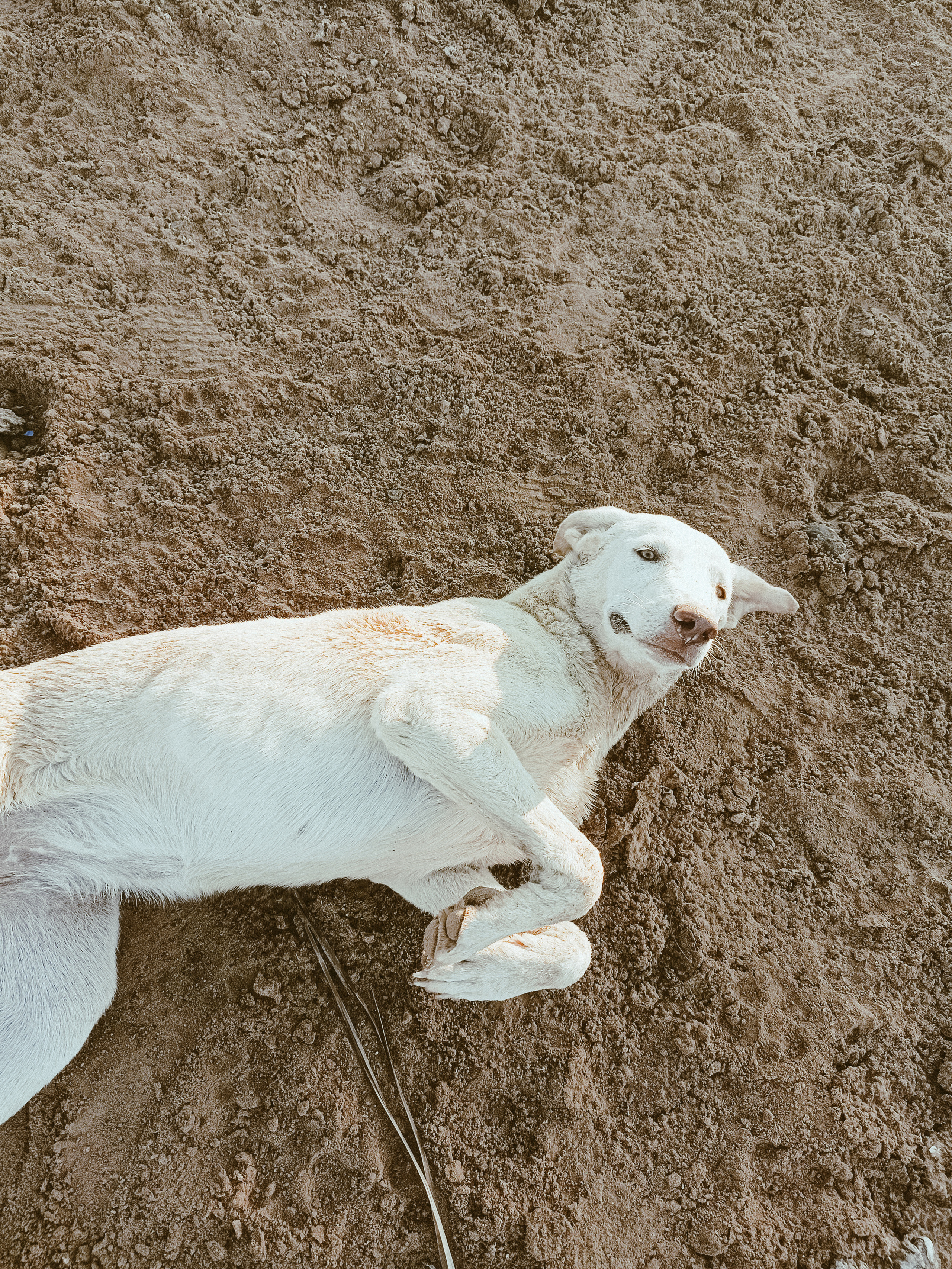 Мобильная. Jorgis — фотограф в Хургаде / обучение фотографии
