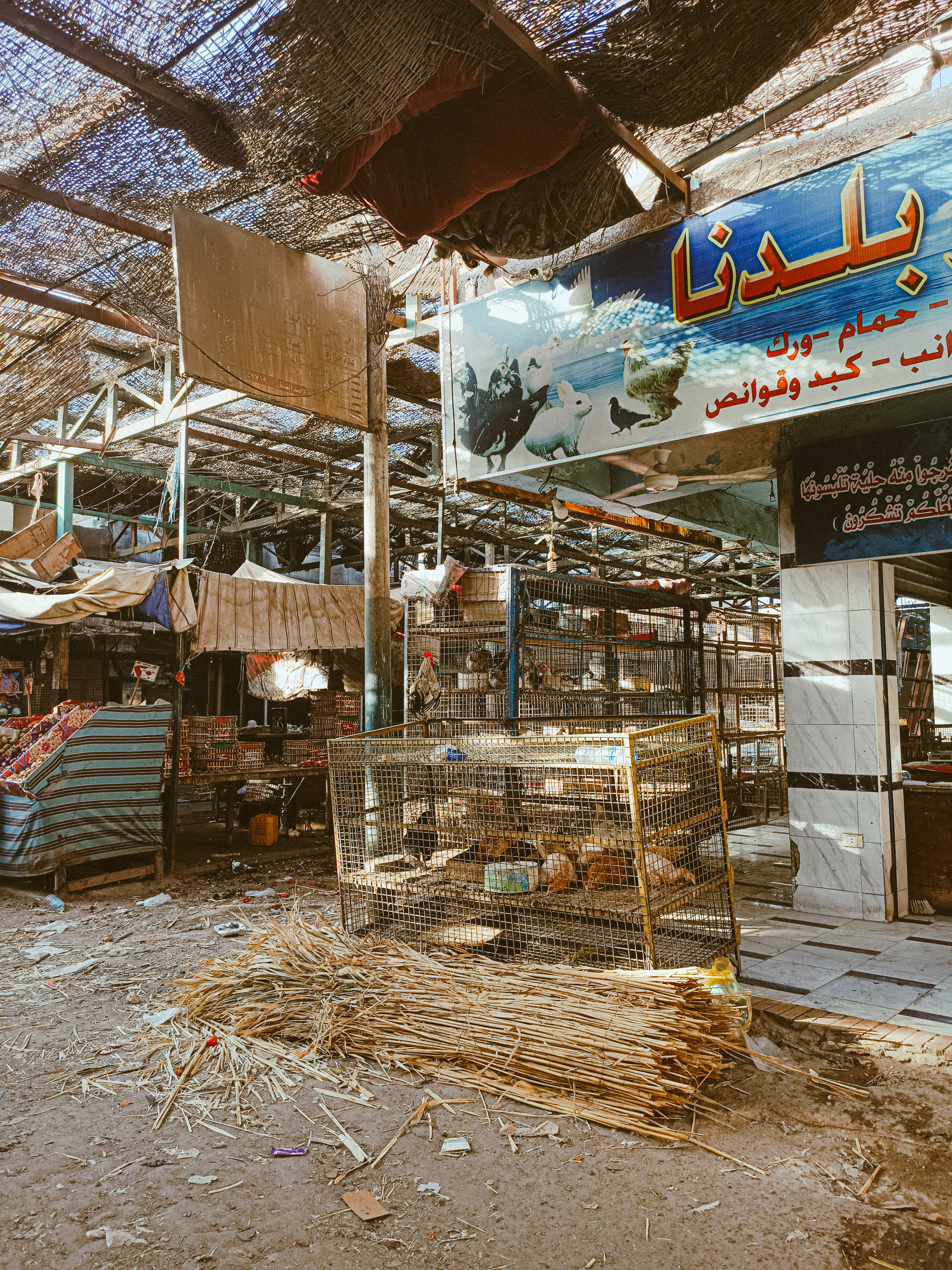 Мобильная. Jorgis — фотограф в Хургаде / обучение фотографии