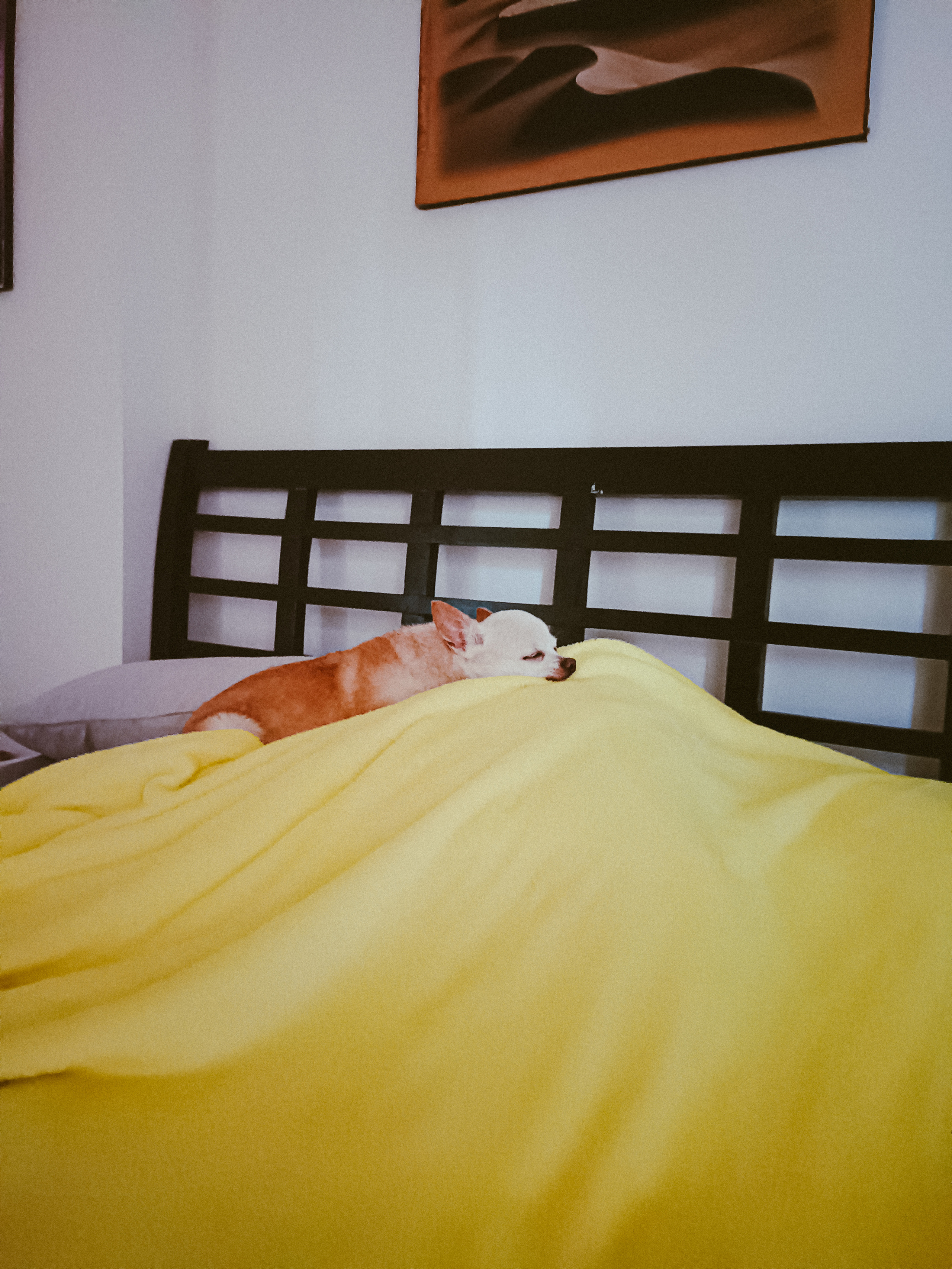 Мобильная. Jorgis — фотограф в Хургаде / обучение фотографии