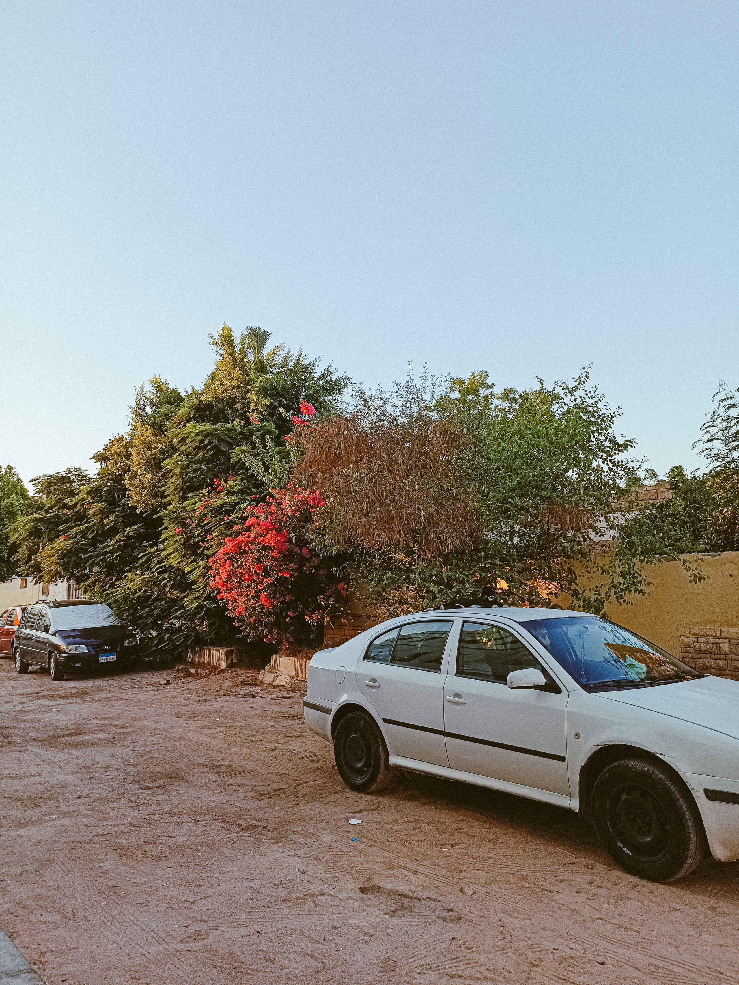 Мобильная. Jorgis — фотограф в Хургаде / обучение фотографии