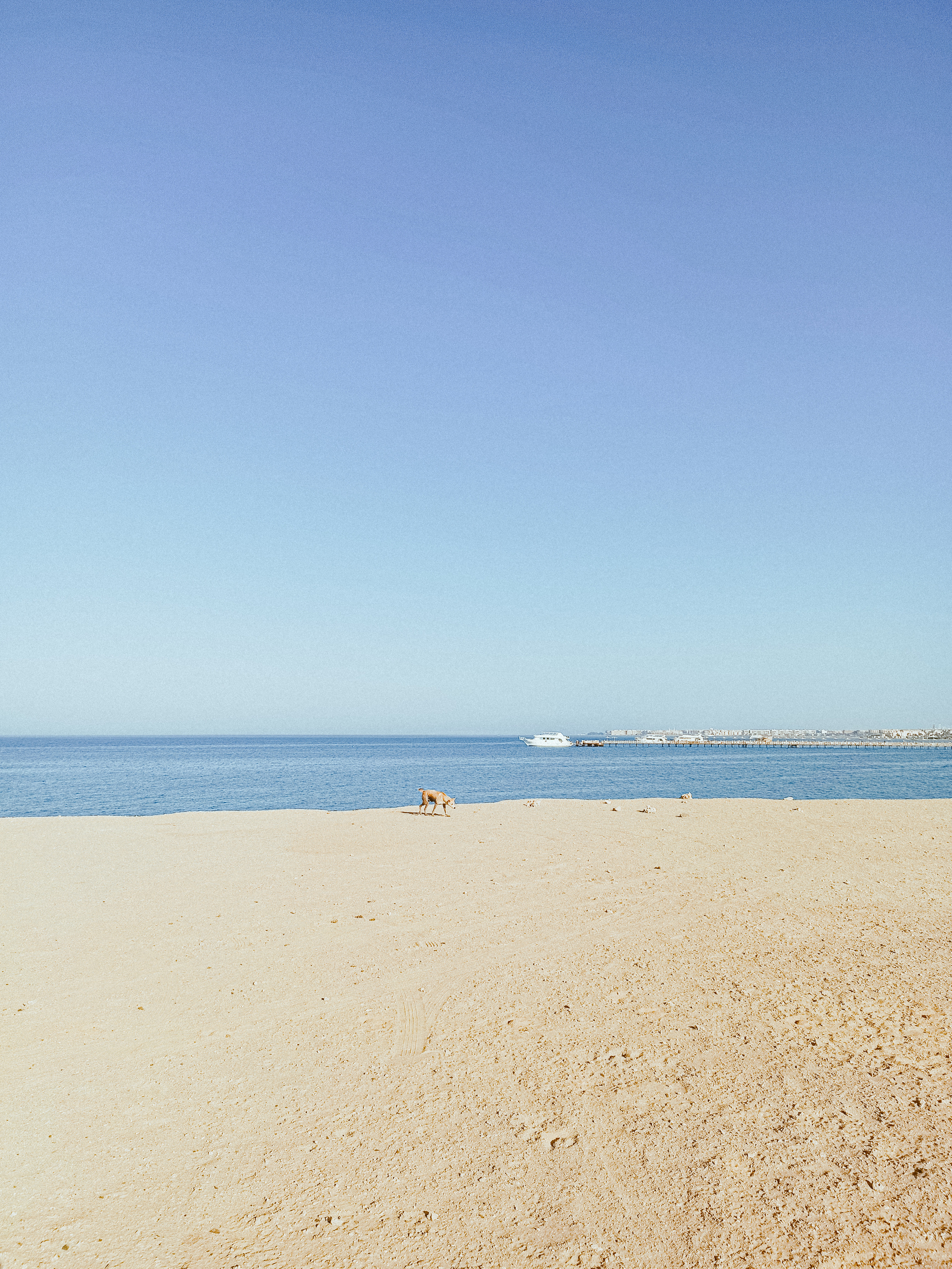 Мобильная. Jorgis — фотограф в Хургаде / обучение фотографии