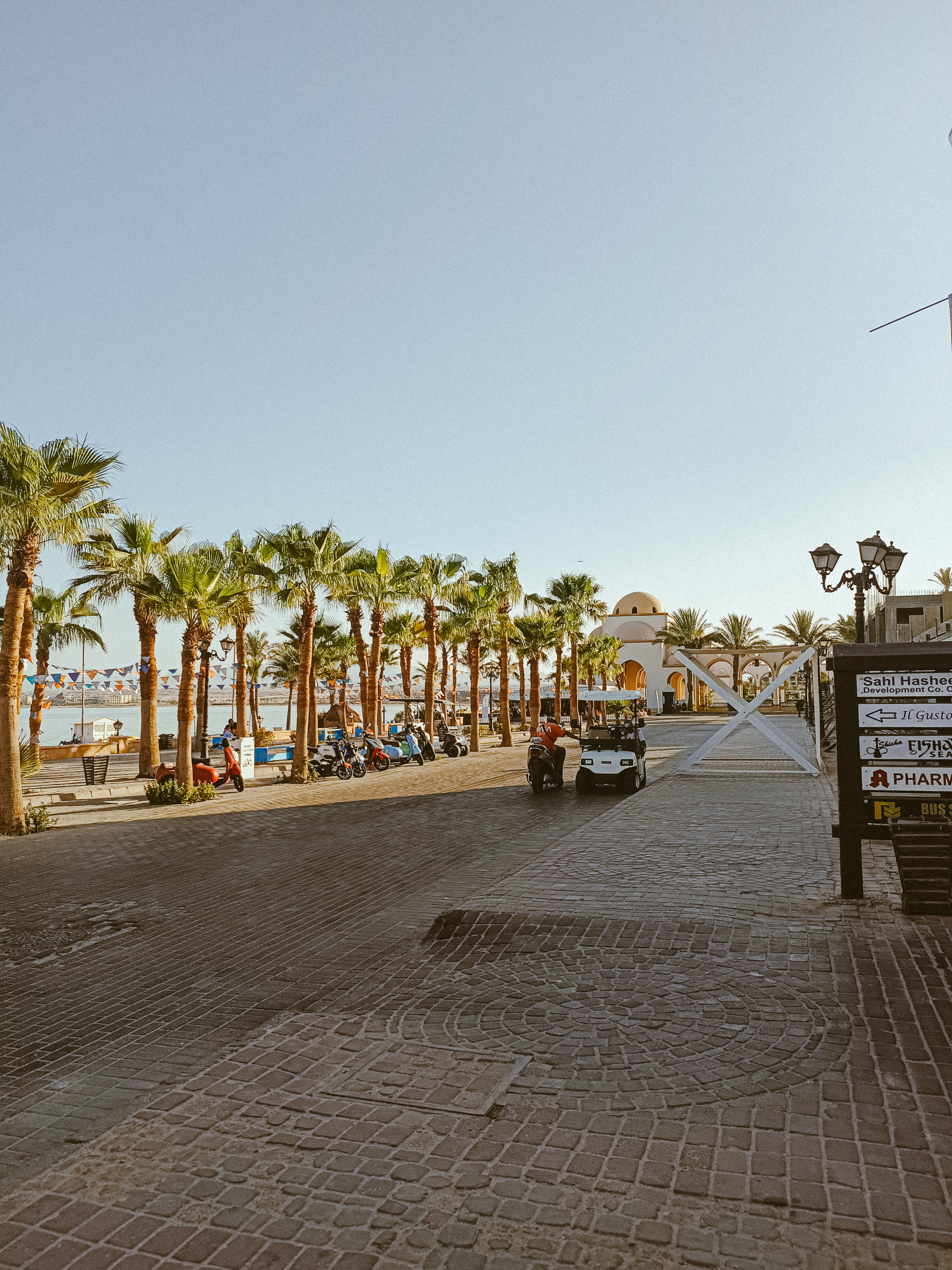 Мобильная. Jorgis — фотограф в Хургаде / обучение фотографии