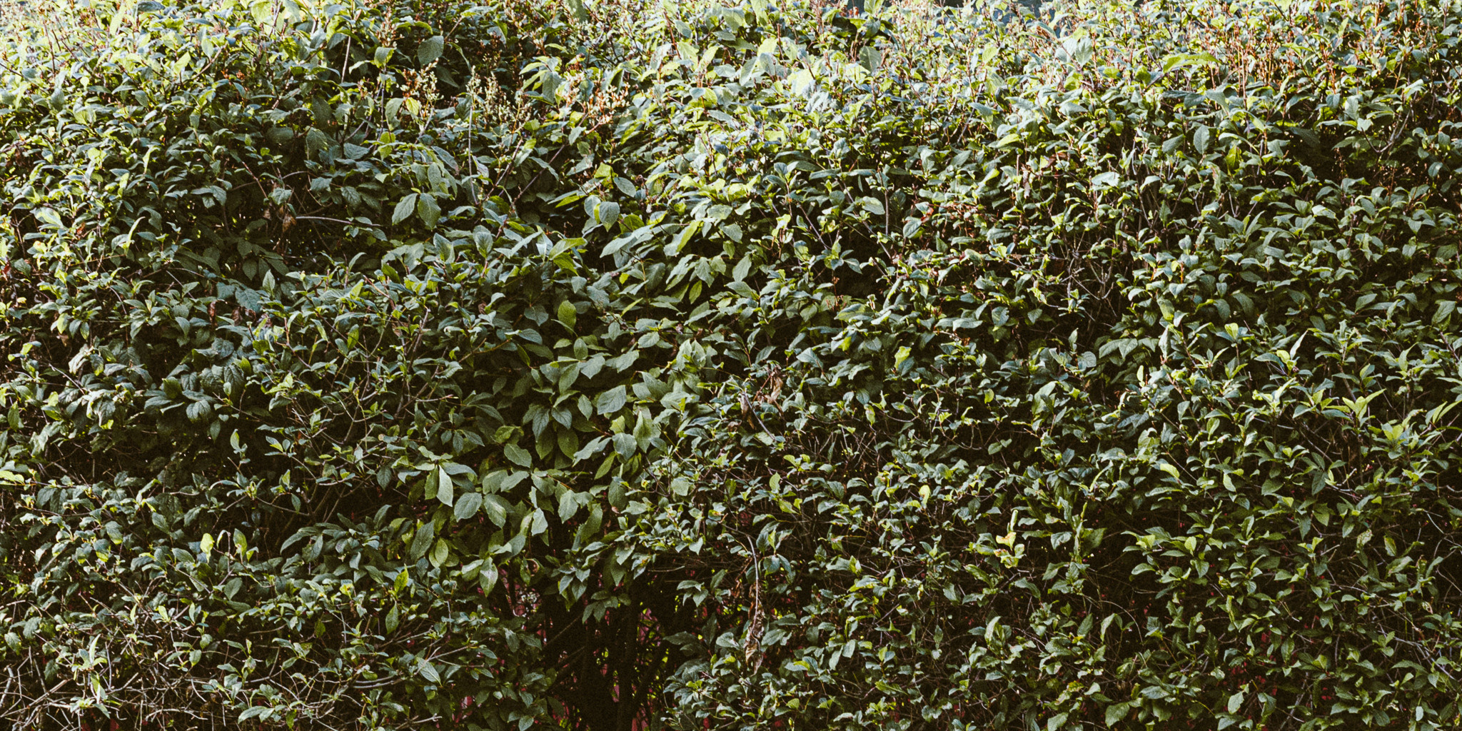 Улица горизонтальная. Jorgis — фотограф в Хургаде / обучение фотографии