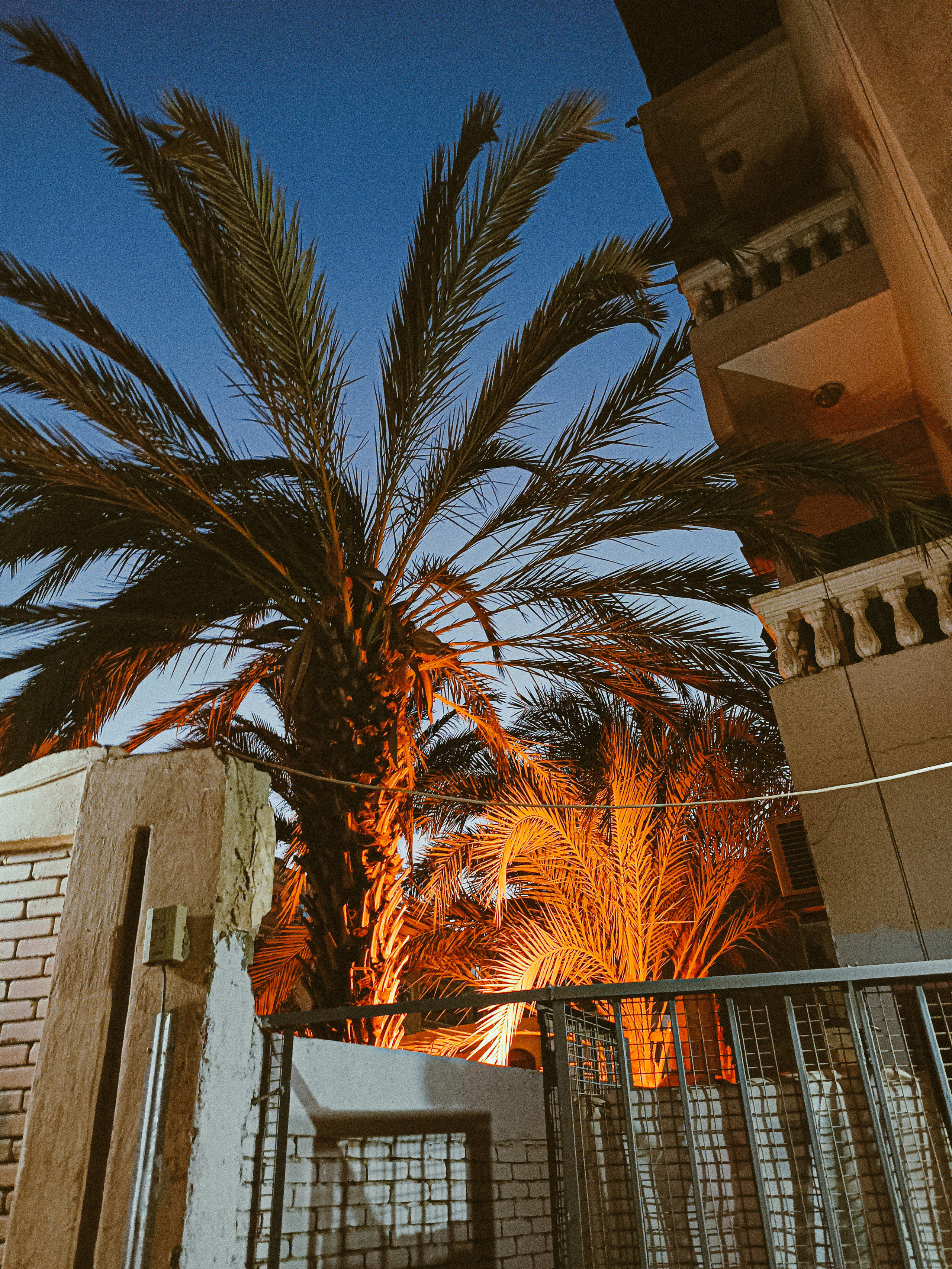 Мобильная. Jorgis — фотограф в Хургаде / обучение фотографии