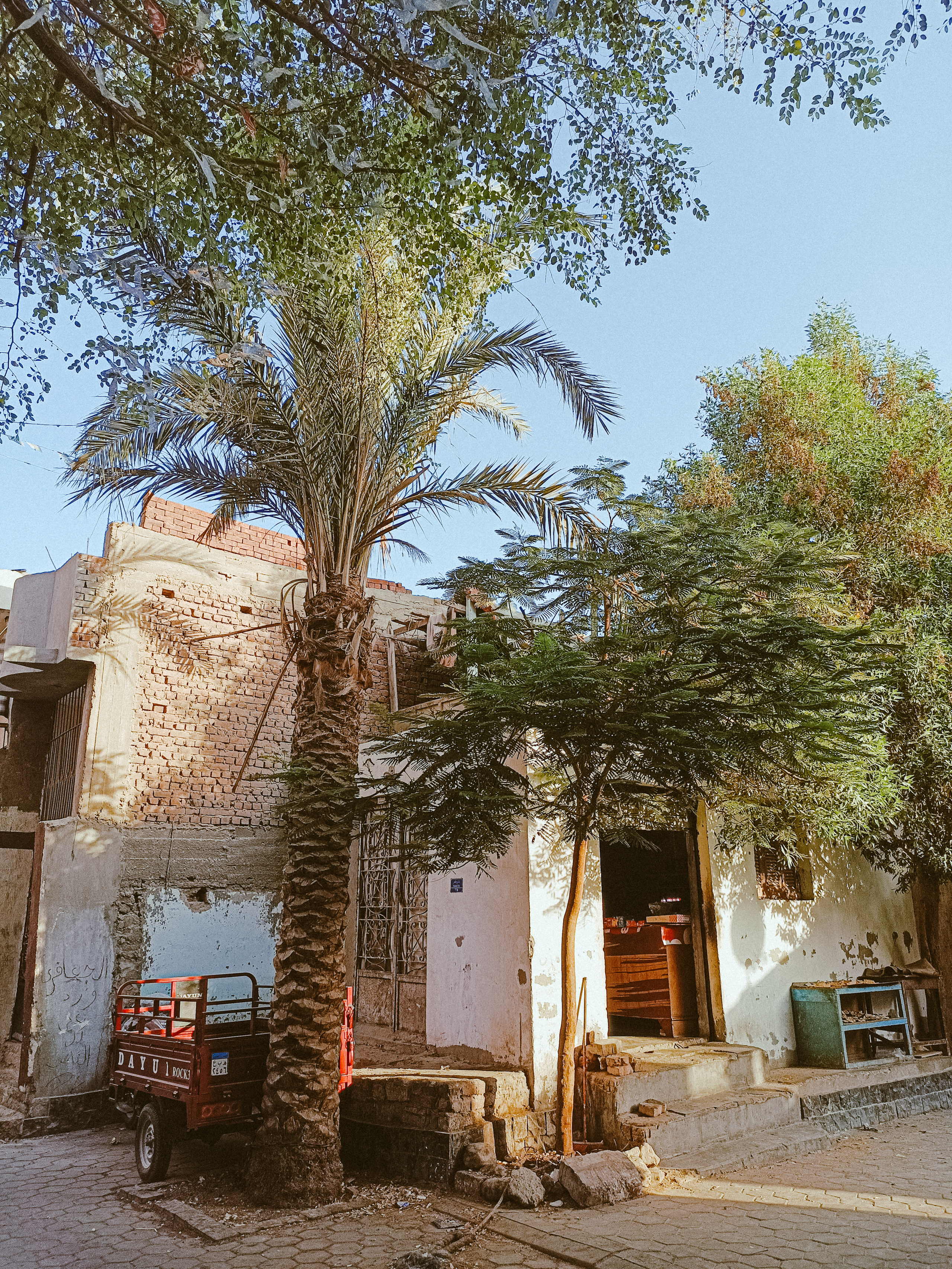 Мобильная. Jorgis — фотограф в Хургаде / обучение фотографии