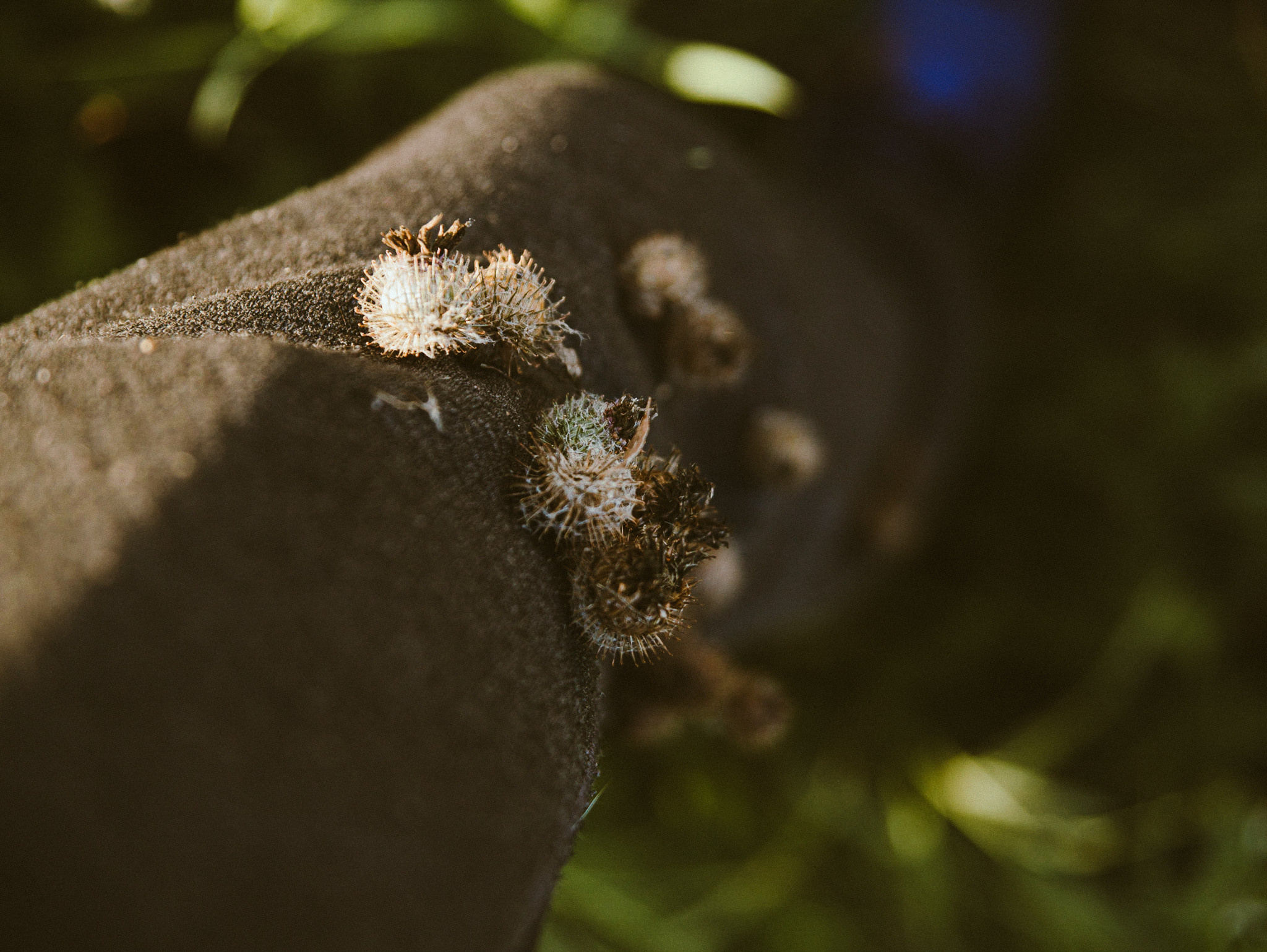 Другое. Jorgis Talè — photographer, kind person, teacher of arts and other mag