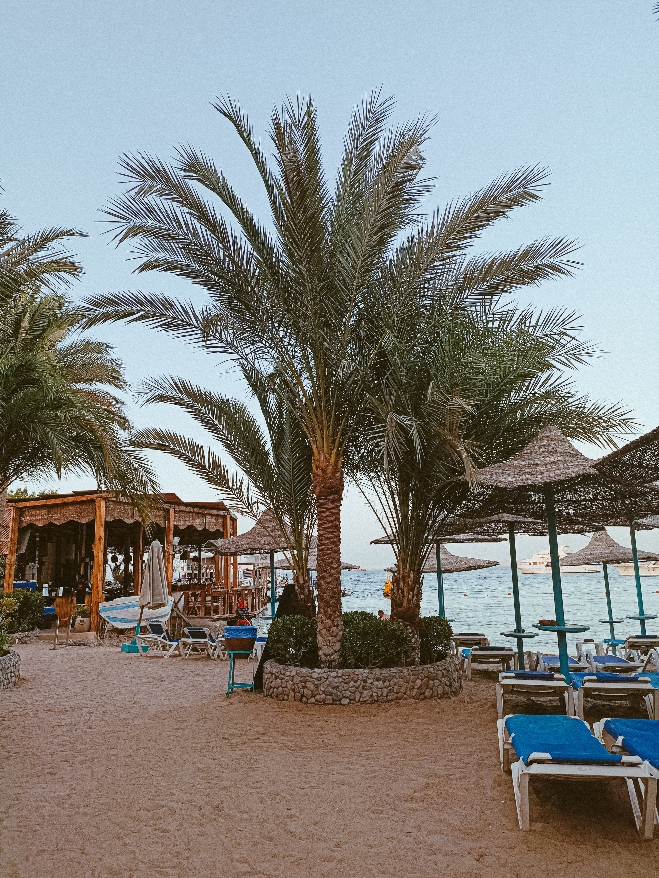 Мобильная. Jorgis — фотограф в Хургаде / обучение фотографии