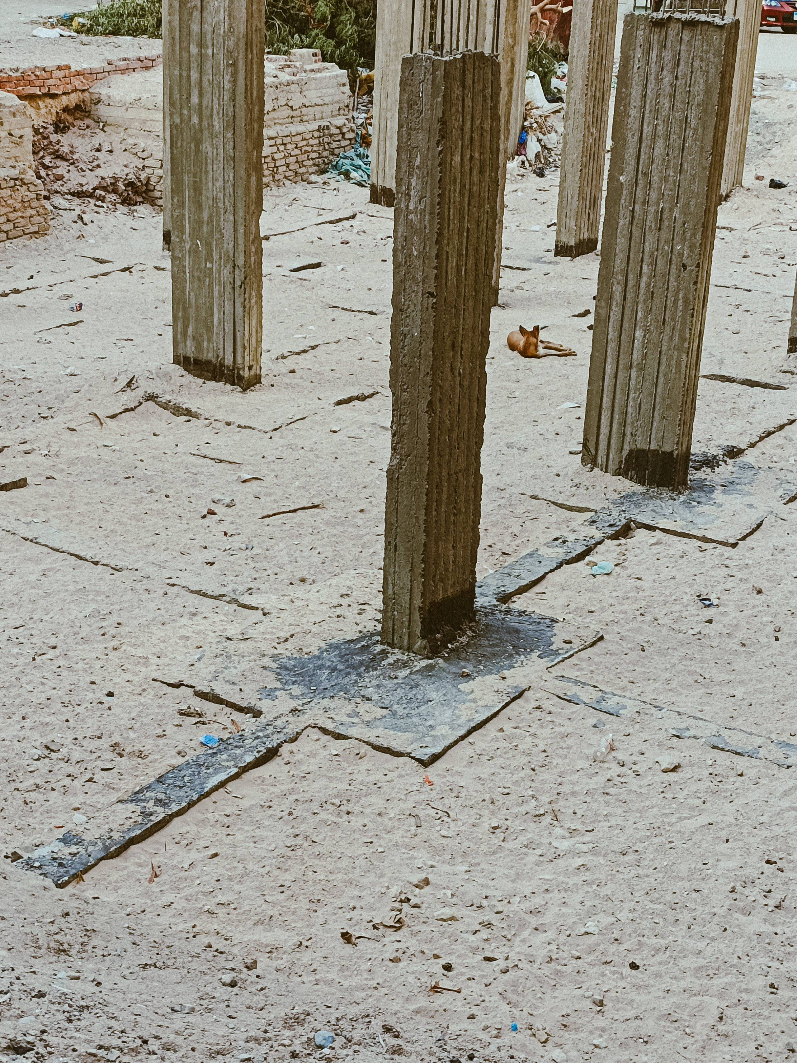 Мобильная. Jorgis — фотограф в Хургаде / обучение фотографии