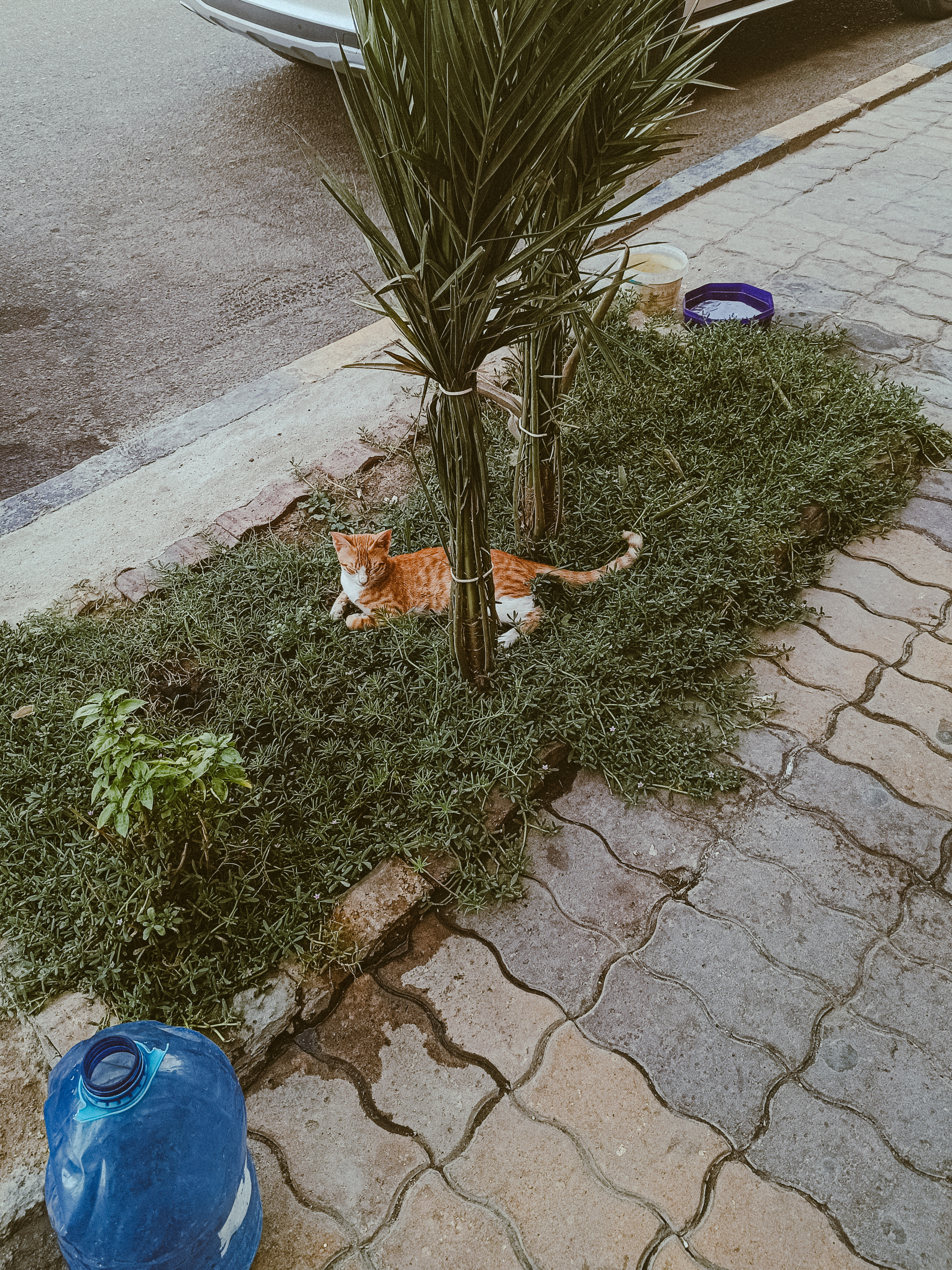 Мобильная. Jorgis — фотограф в Хургаде / обучение фотографии