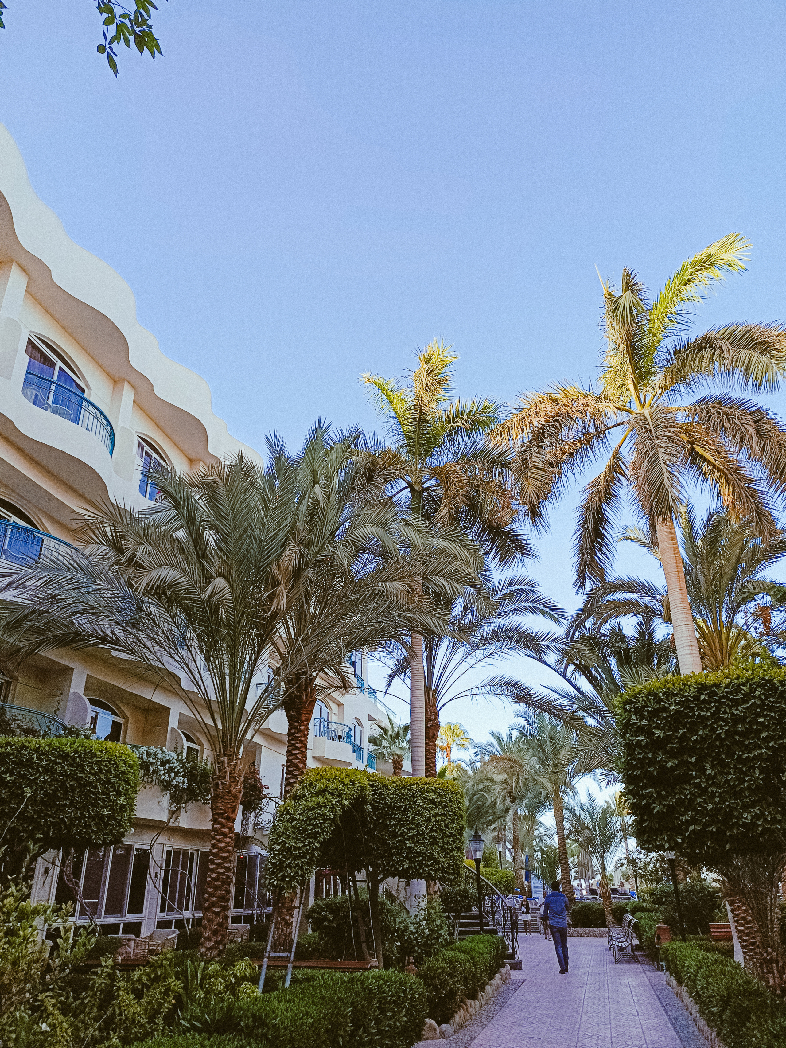 Мобильная. Jorgis — фотограф в Хургаде / обучение фотографии