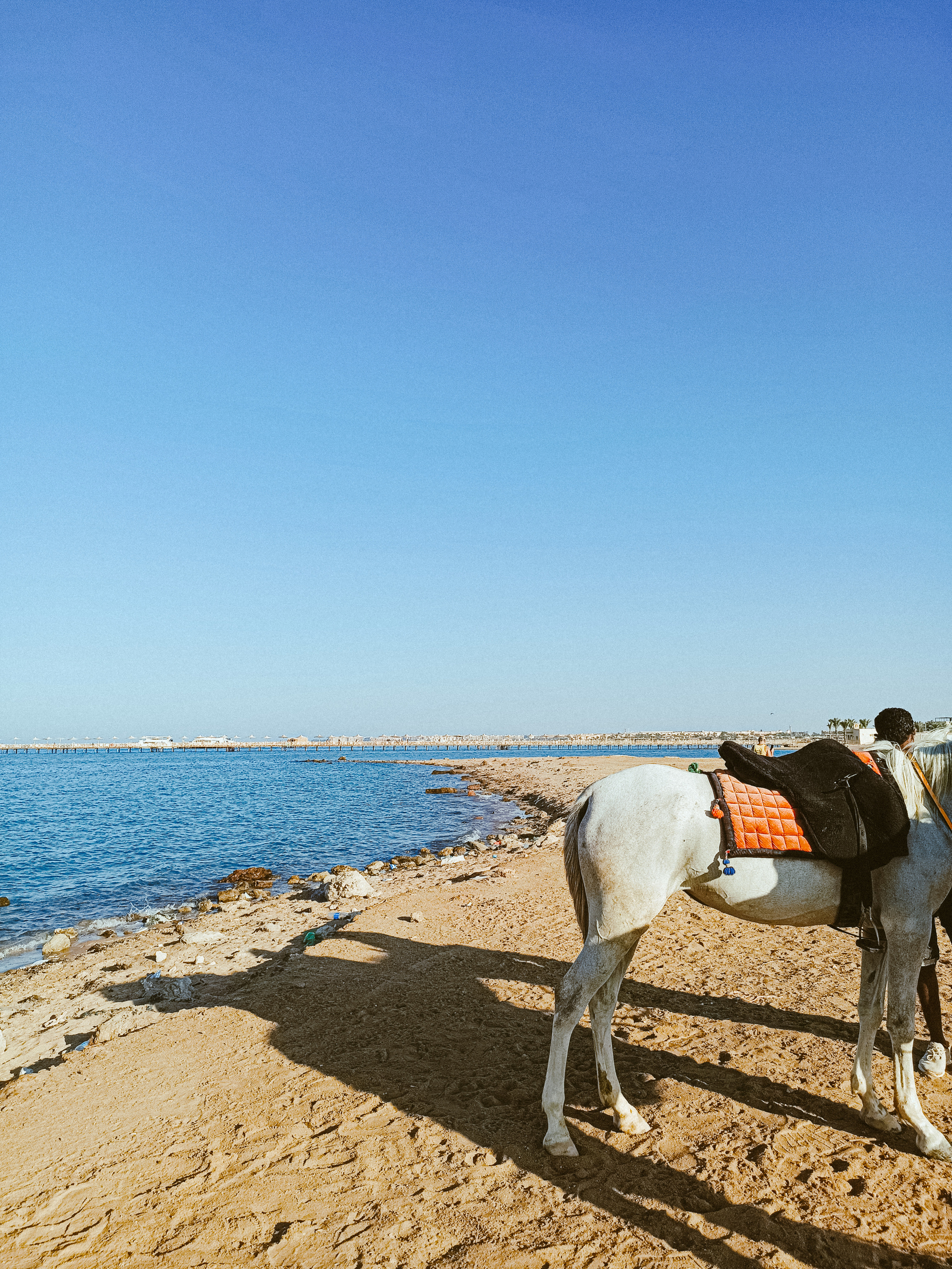 Мобильная. Jorgis — фотограф в Хургаде / обучение фотографии