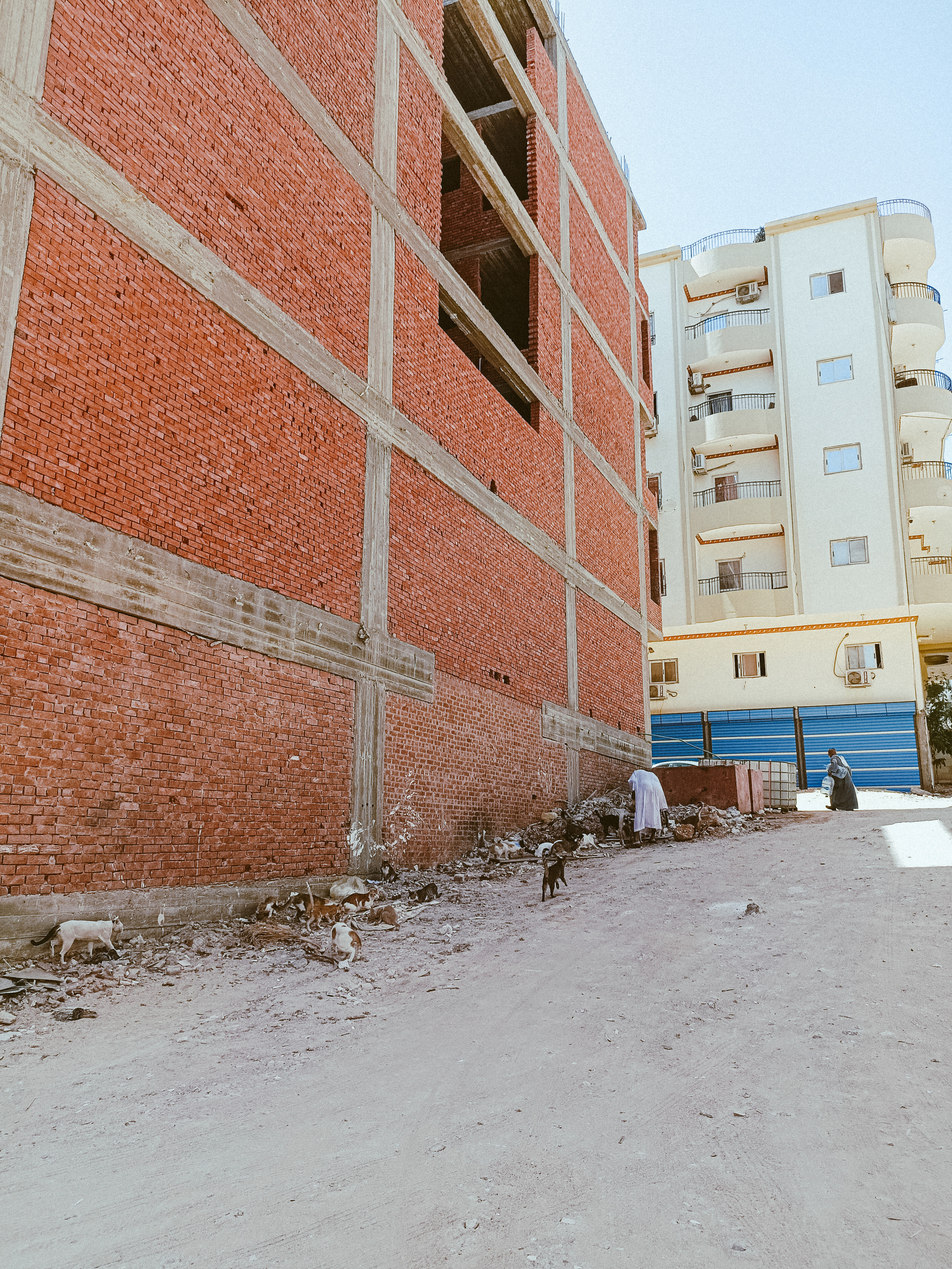 Мобильная. Jorgis — фотограф в Хургаде / обучение фотографии