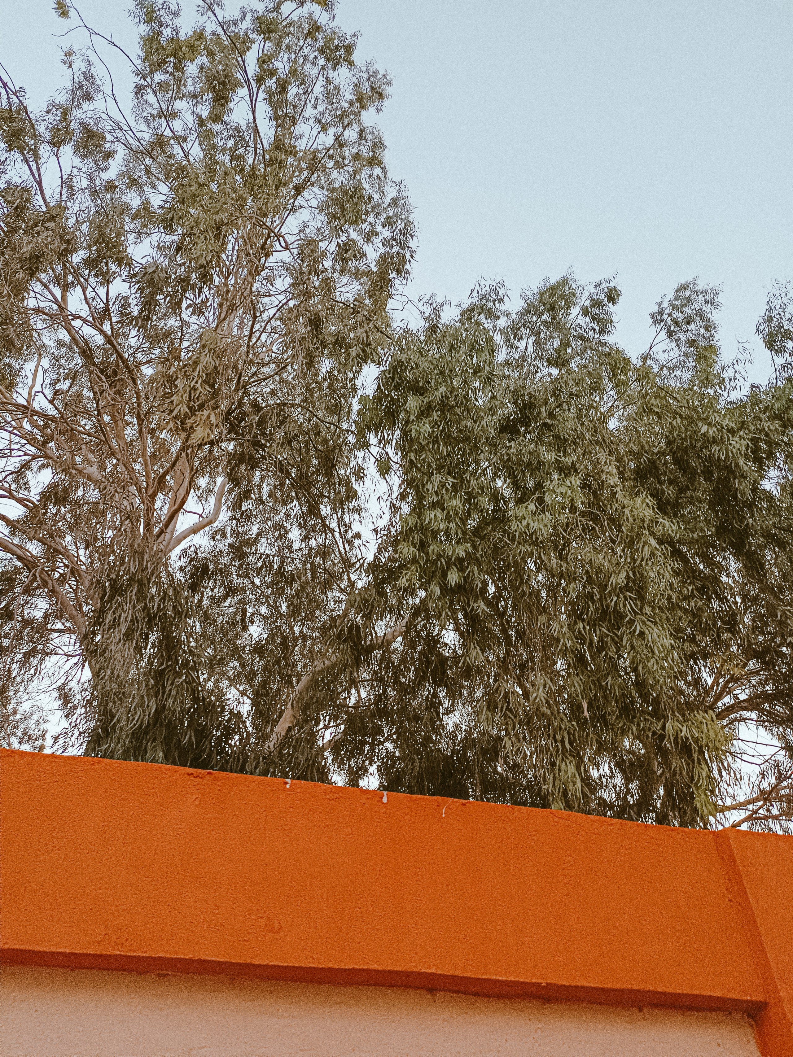 Мобильная. Jorgis — фотограф в Хургаде / обучение фотографии