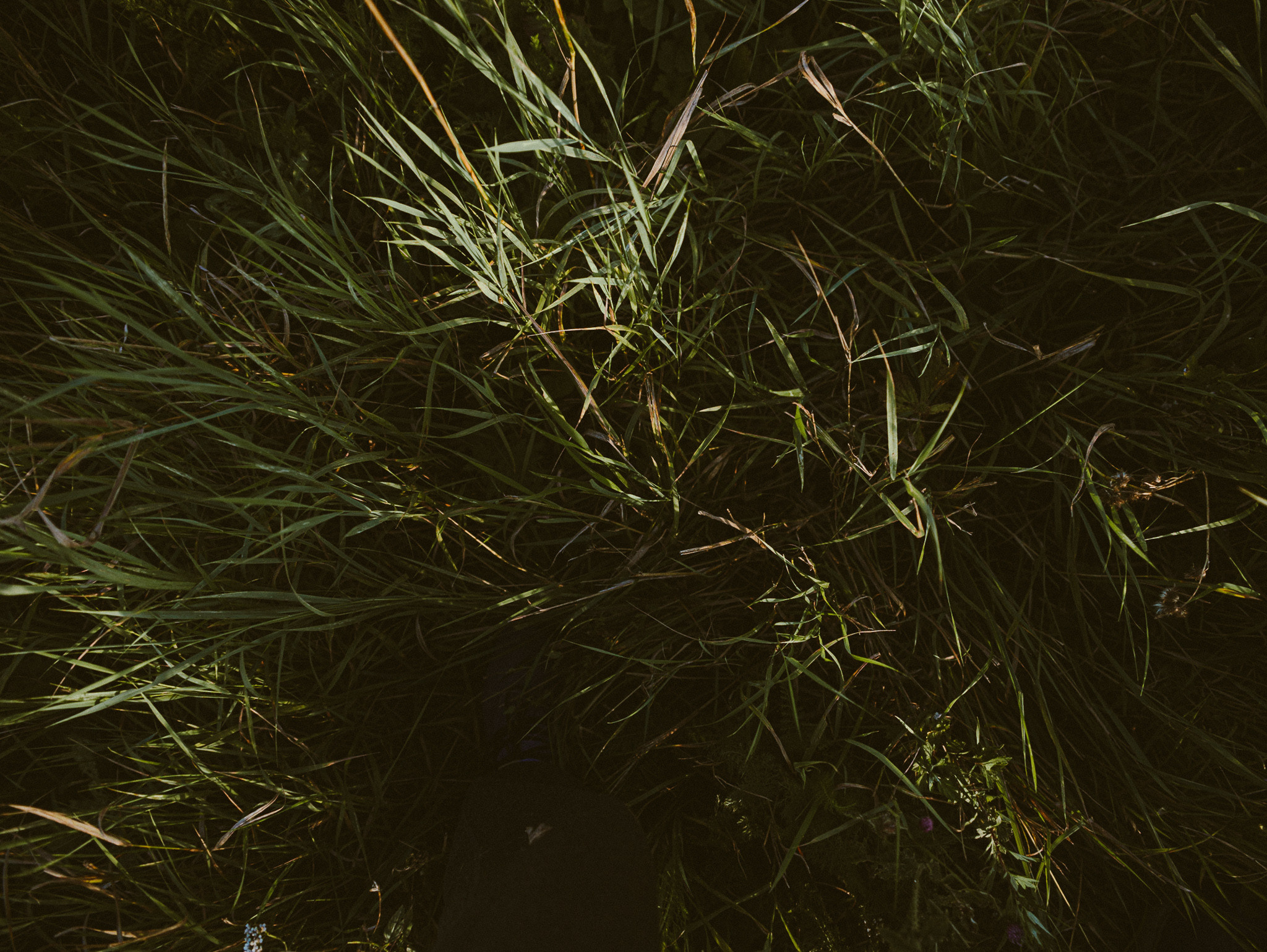 Улица горизонтальная. Jorgis — фотограф в Хургаде / обучение фотографии