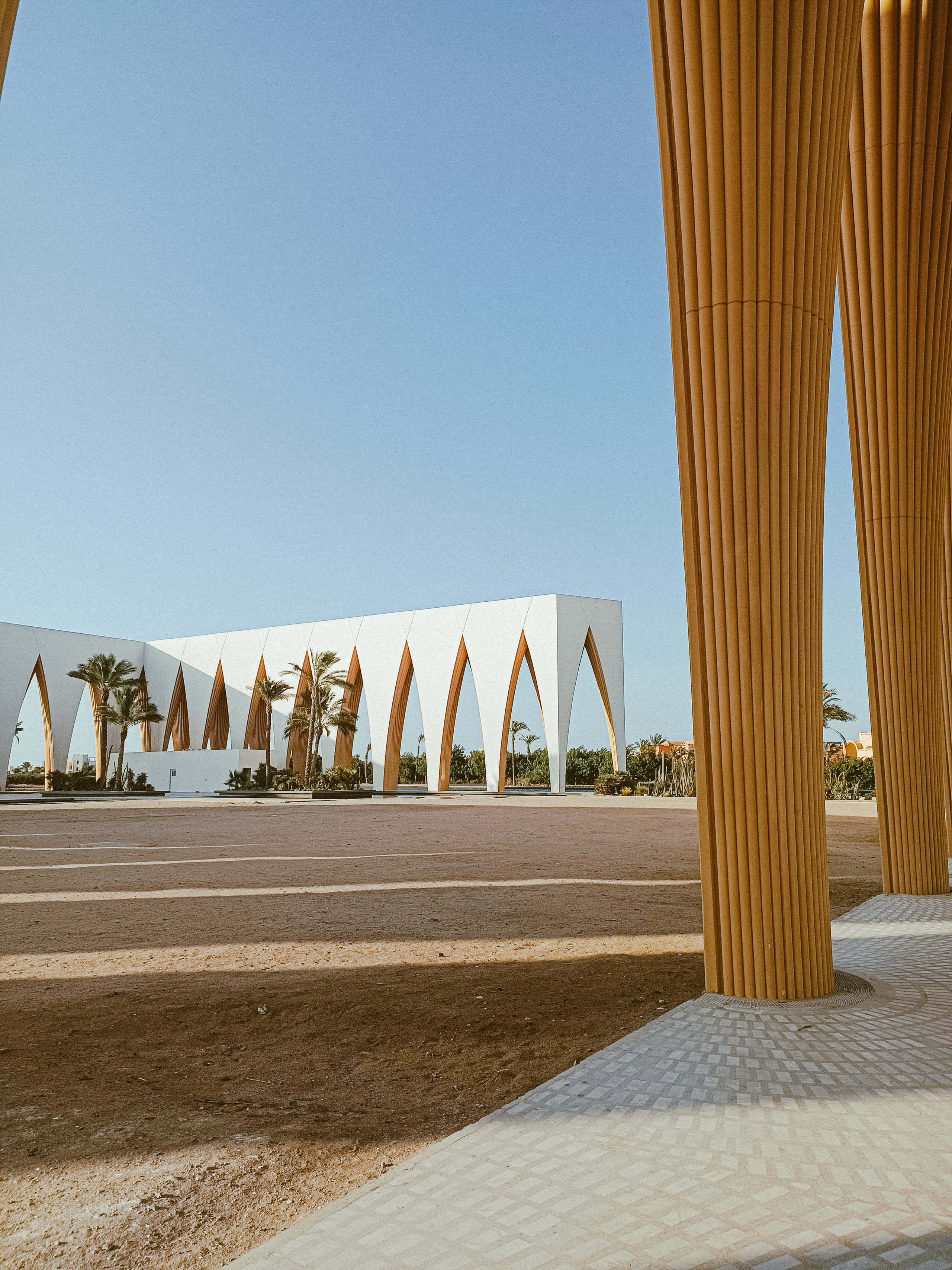 Мобильная. Jorgis — фотограф в Хургаде / обучение фотографии