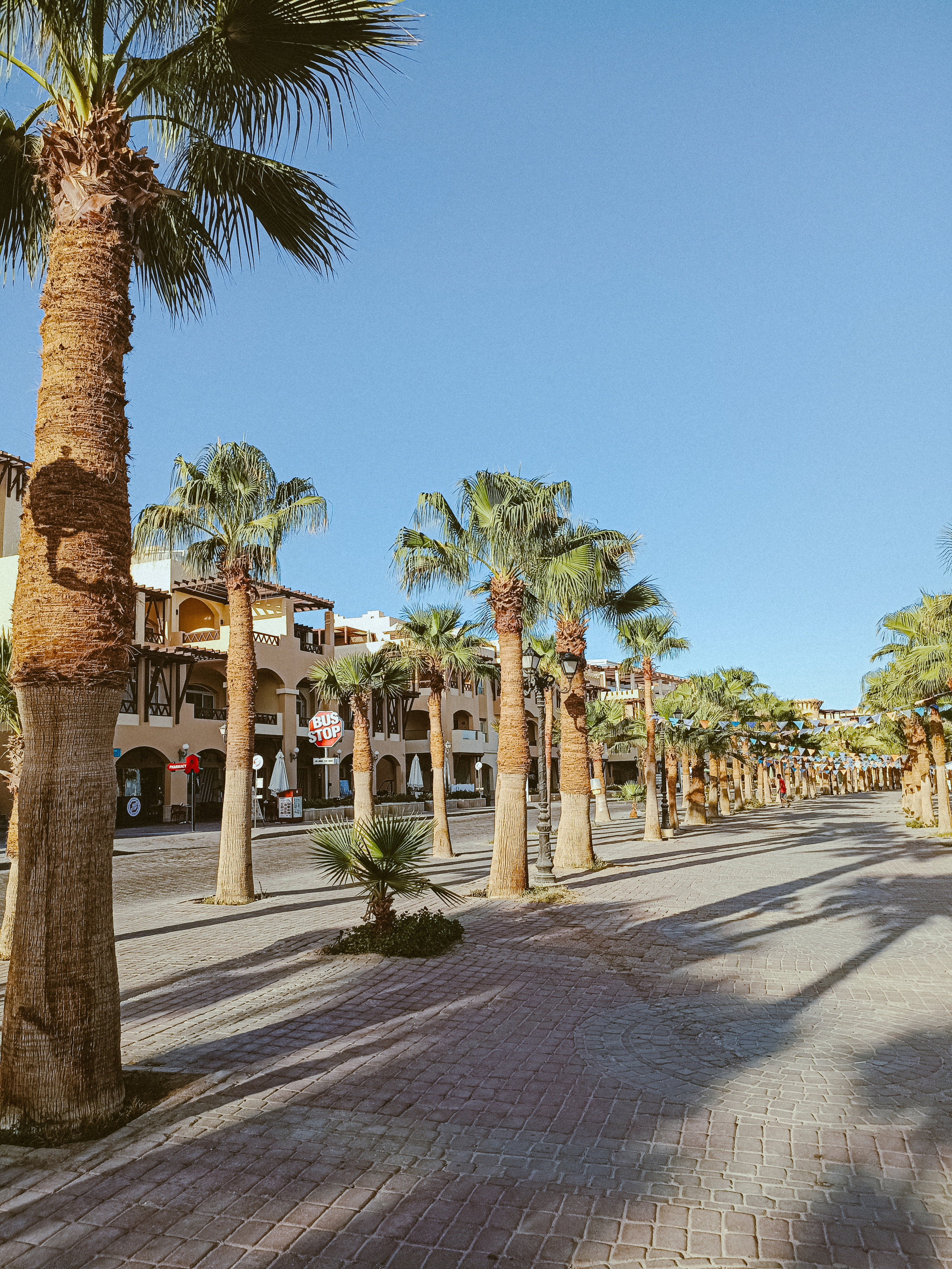 Мобильная. Jorgis — фотограф в Хургаде / обучение фотографии