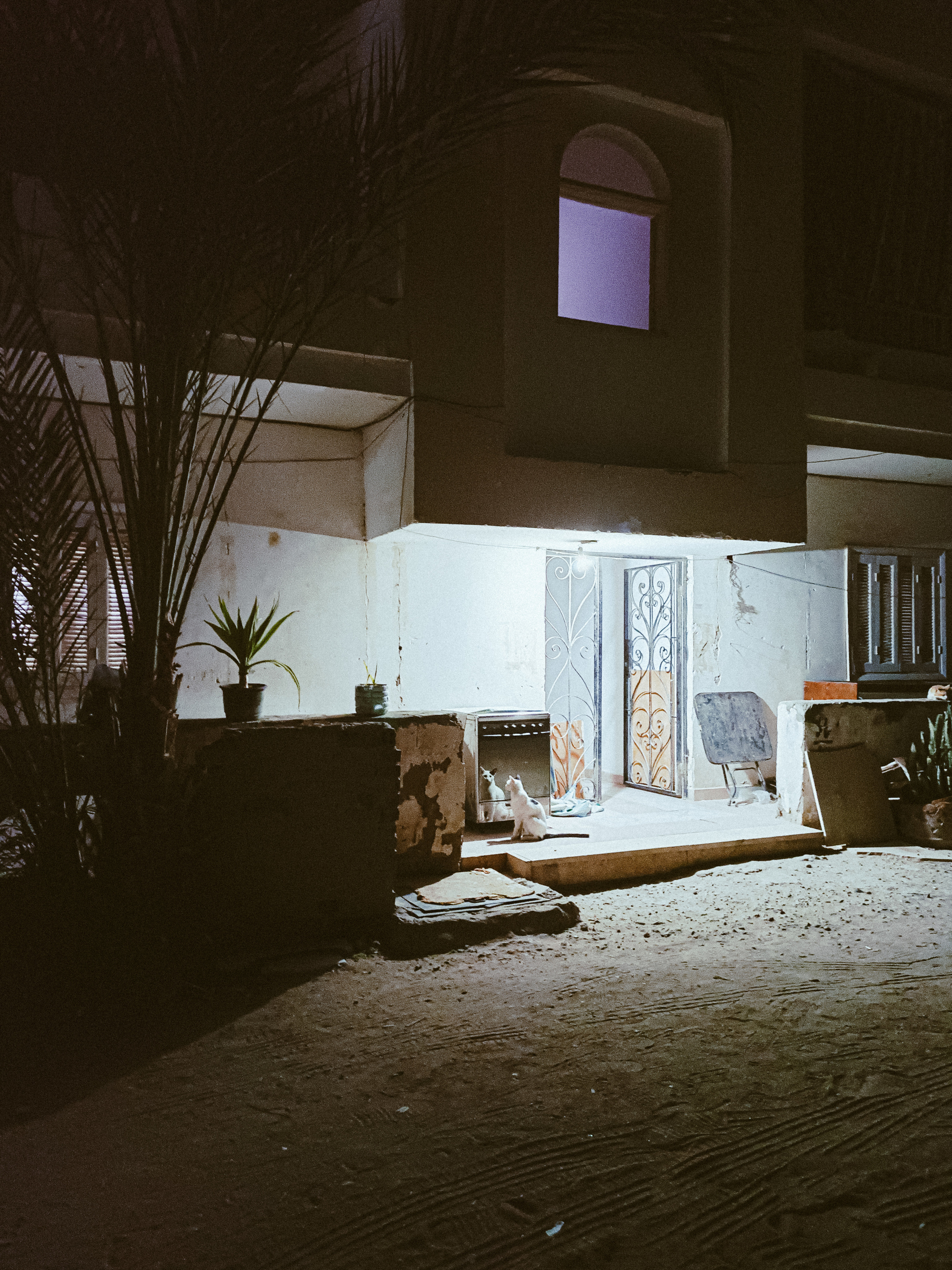 Мобильная. Jorgis — фотограф в Хургаде / обучение фотографии