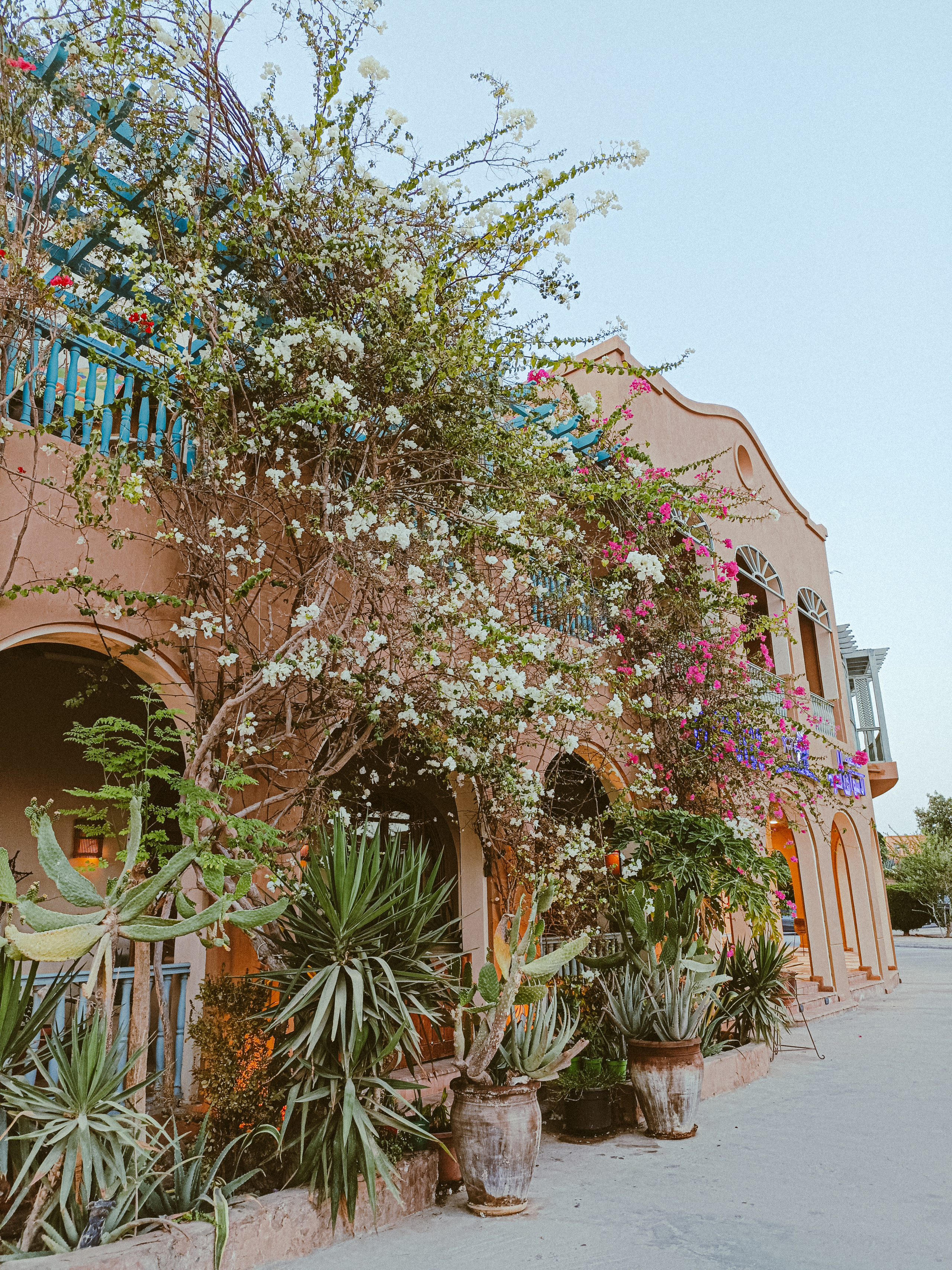 Мобильная. Jorgis — фотограф в Хургаде / обучение фотографии