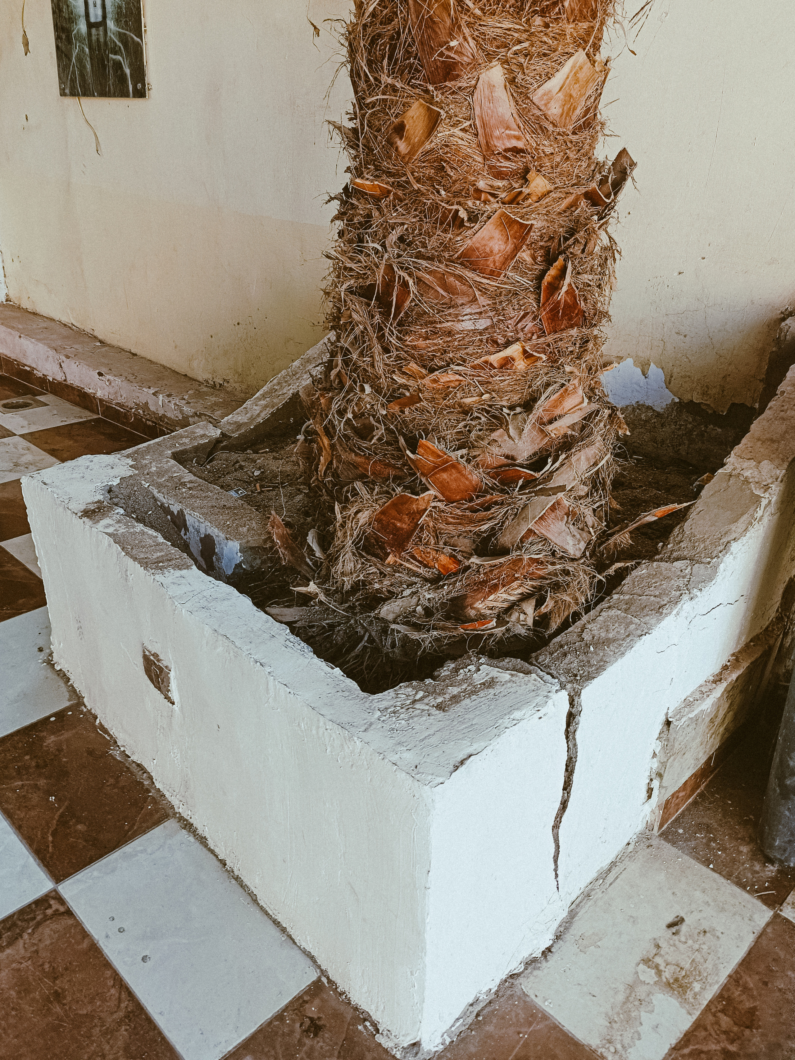 Мобильная. Jorgis — фотограф в Хургаде / обучение фотографии