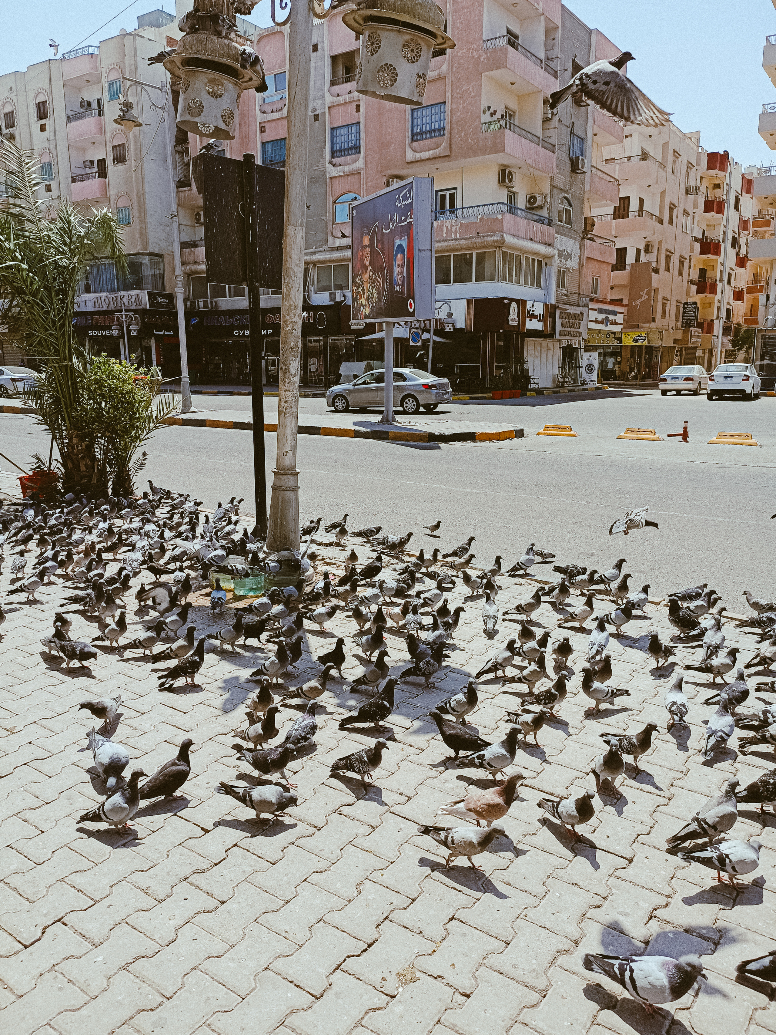 Мобильная. Jorgis — фотограф в Хургаде / обучение фотографии