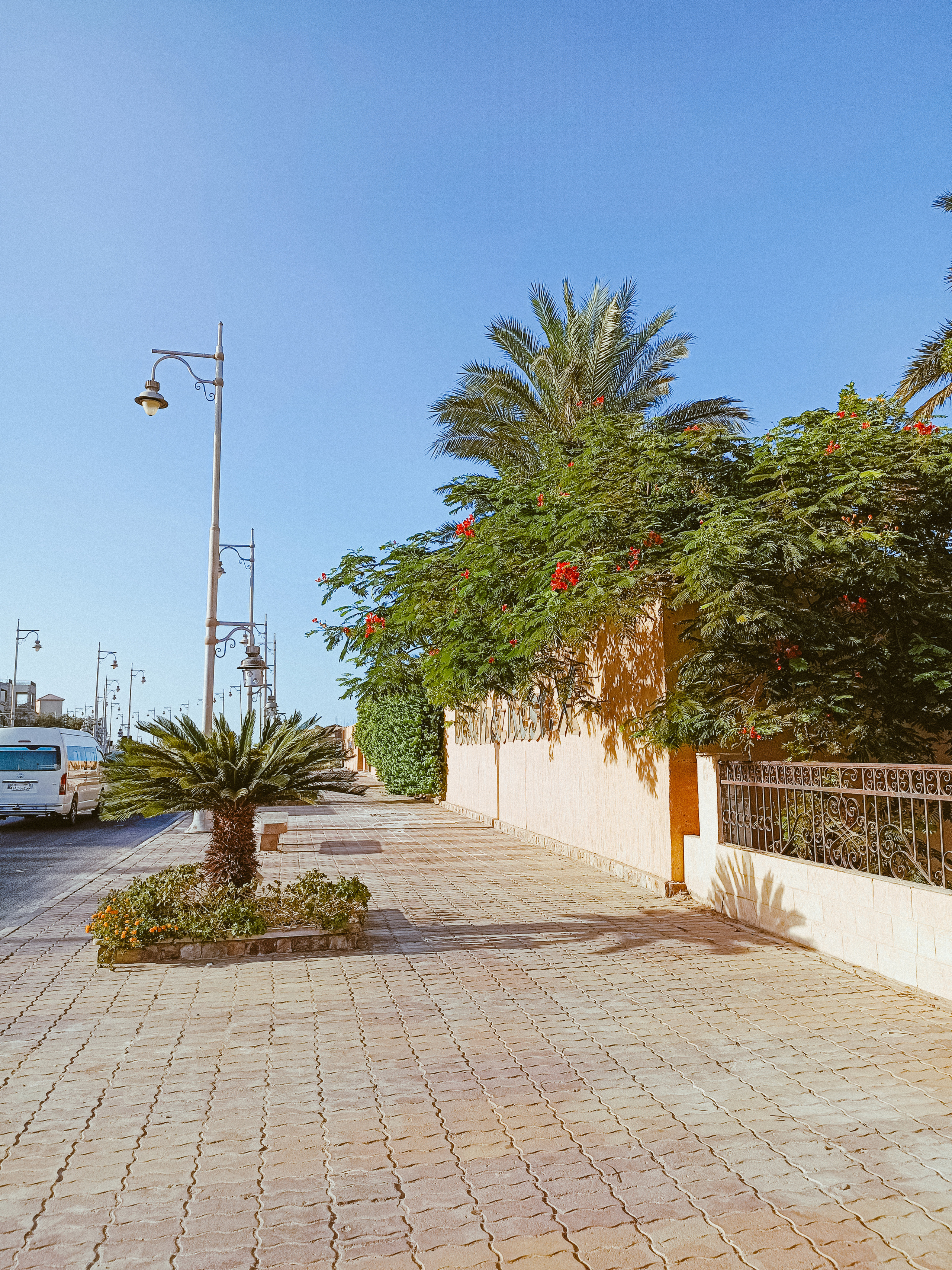 Мобильная. Jorgis — фотограф в Хургаде / обучение фотографии