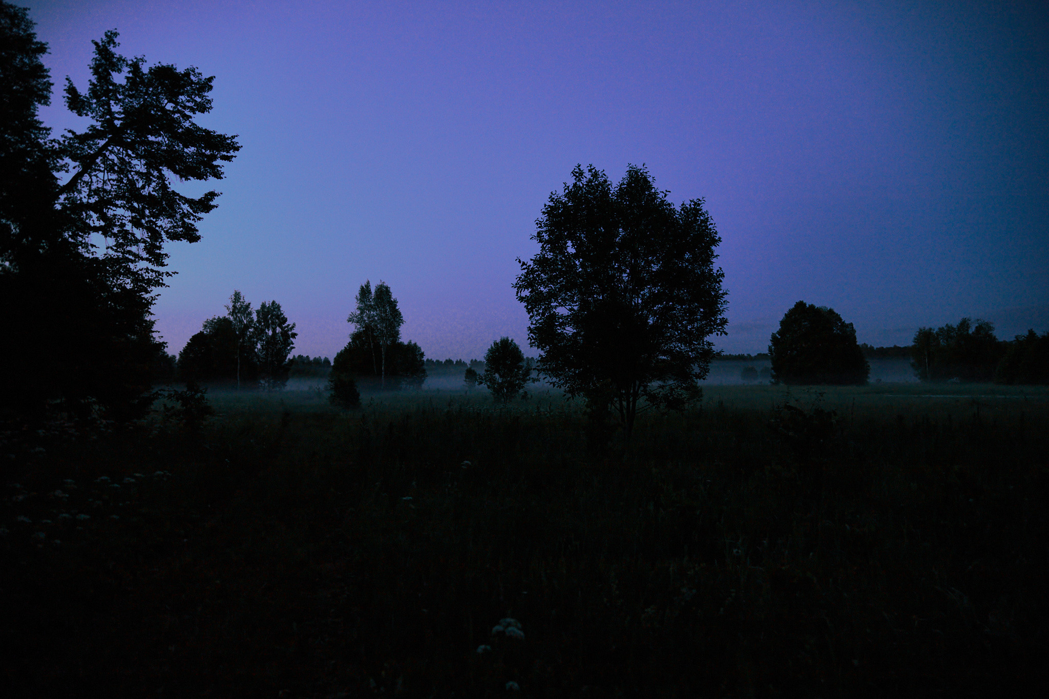 Улица горизонтальная. Jorgis — фотограф в Хургаде / обучение фотографии