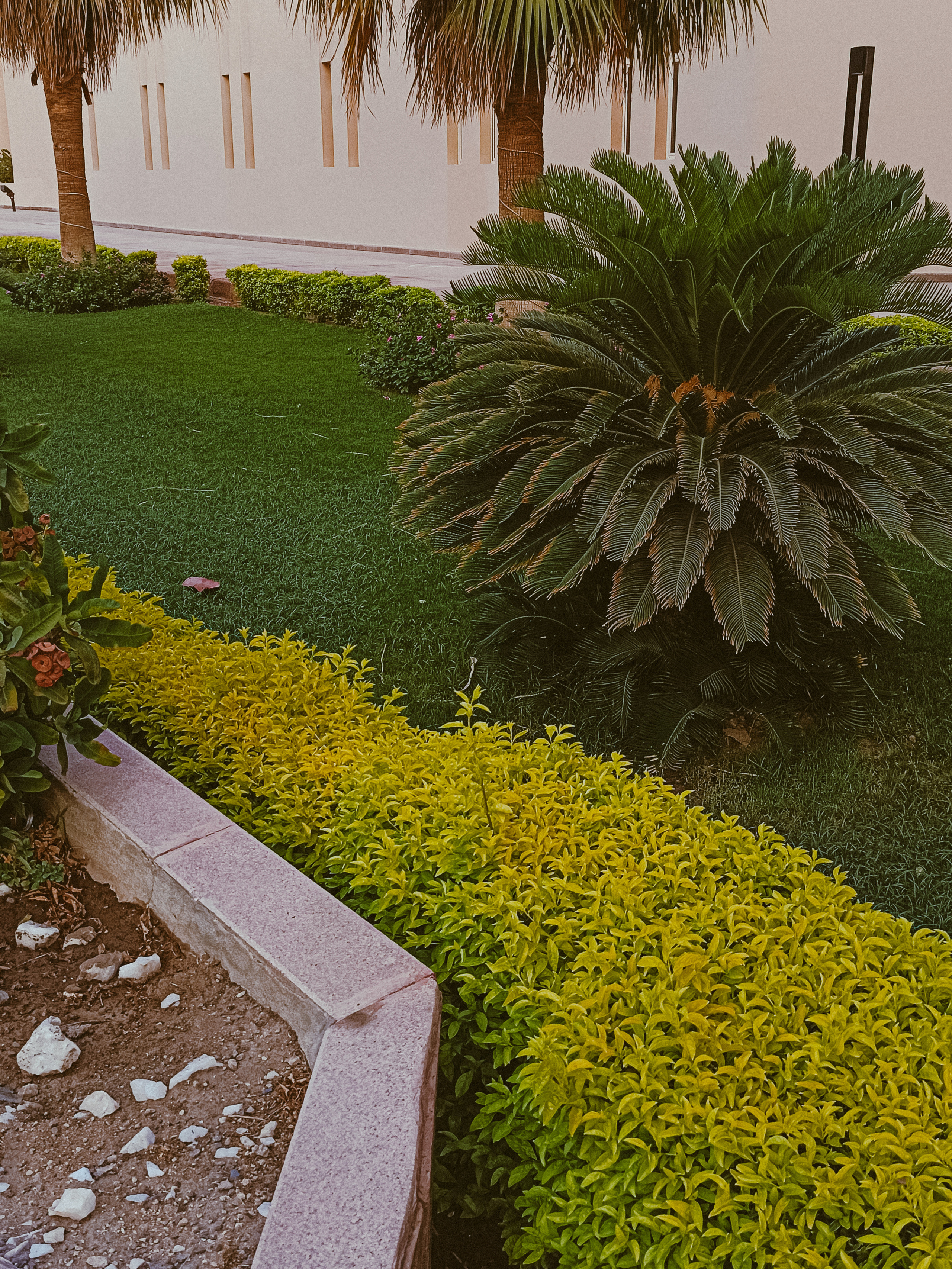 Мобильная. Jorgis — фотограф в Хургаде / обучение фотографии