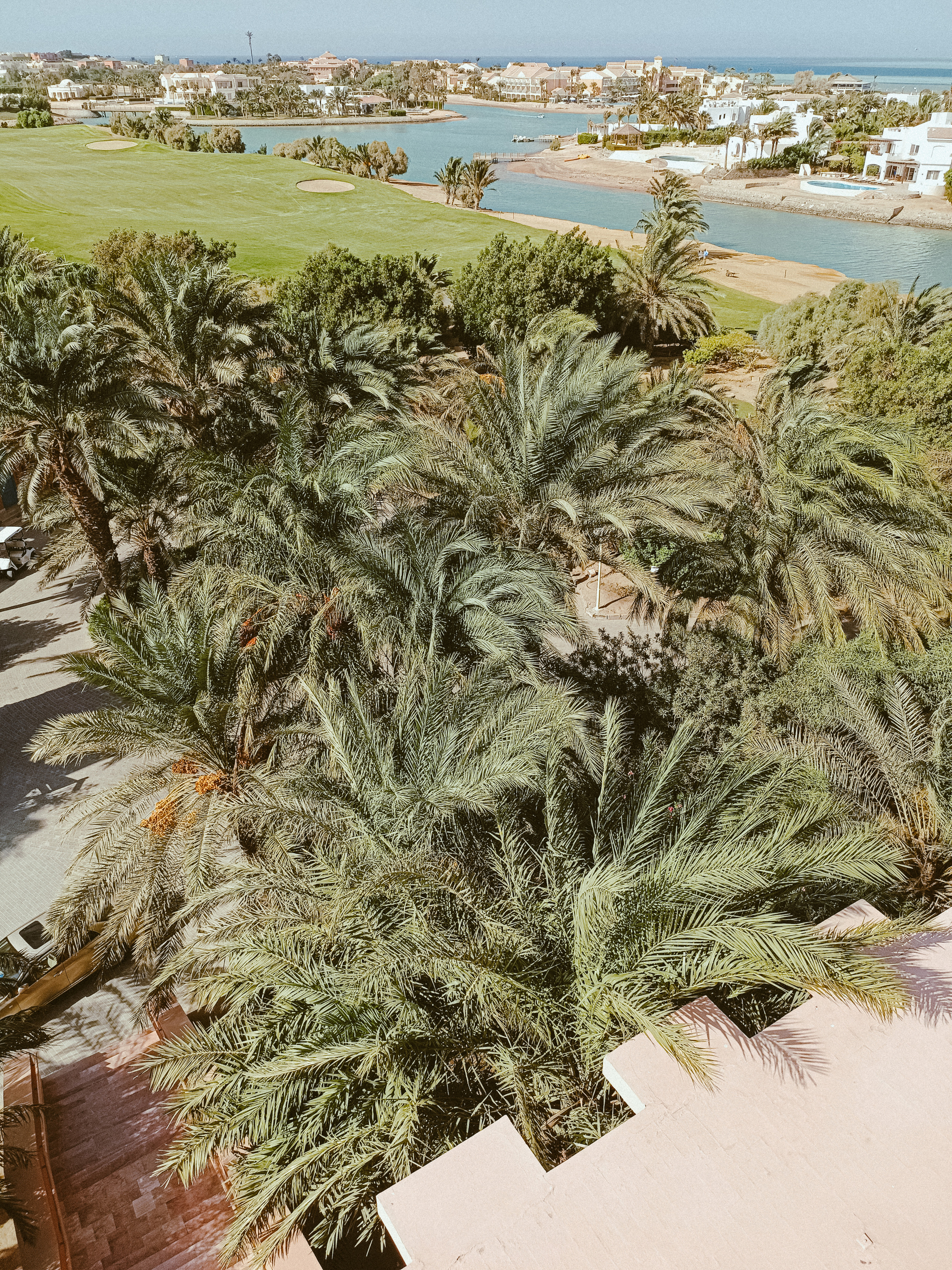 Мобильная. Jorgis — фотограф в Хургаде / обучение фотографии