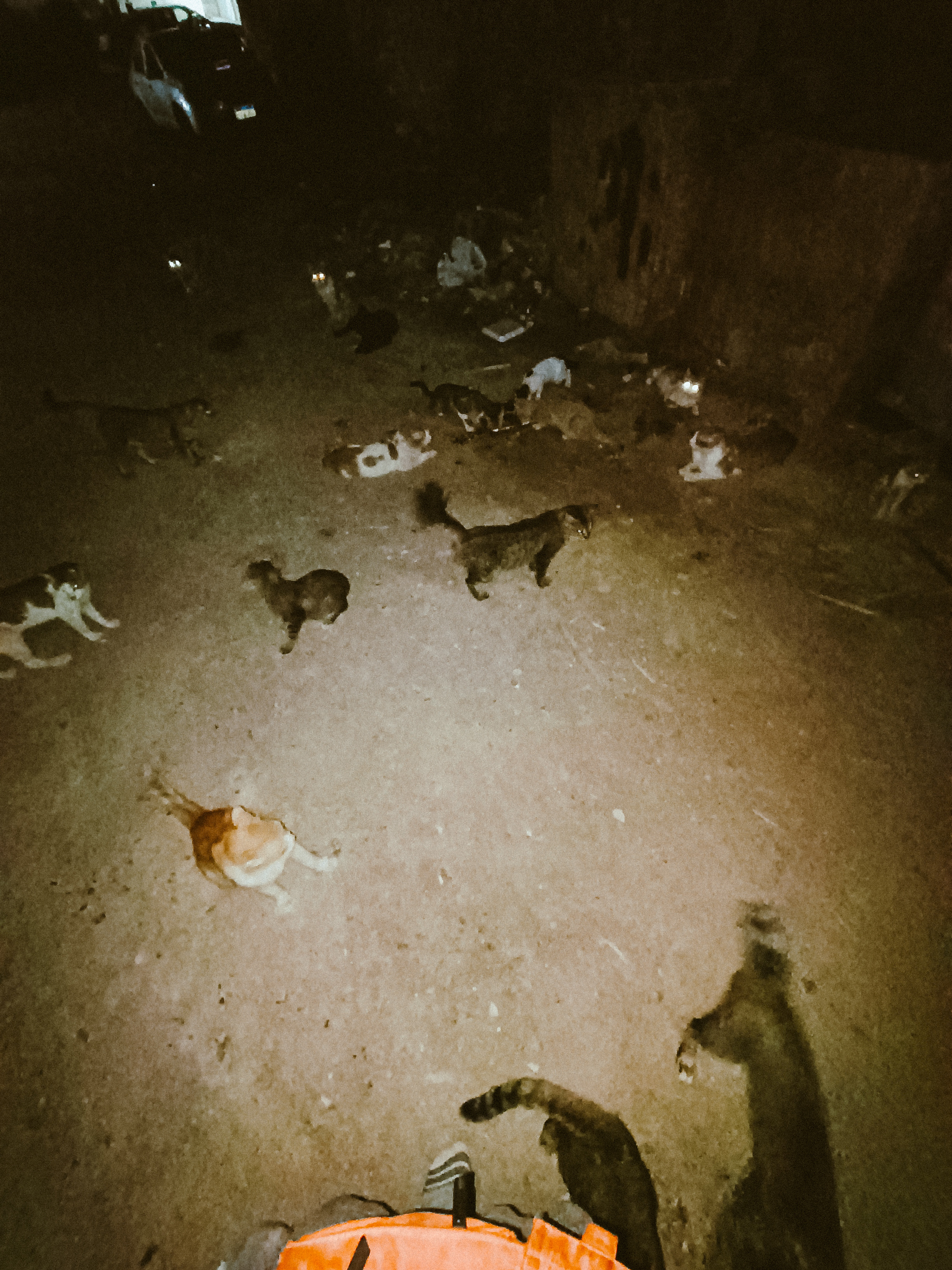 Мобильная. Jorgis — фотограф в Хургаде / обучение фотографии