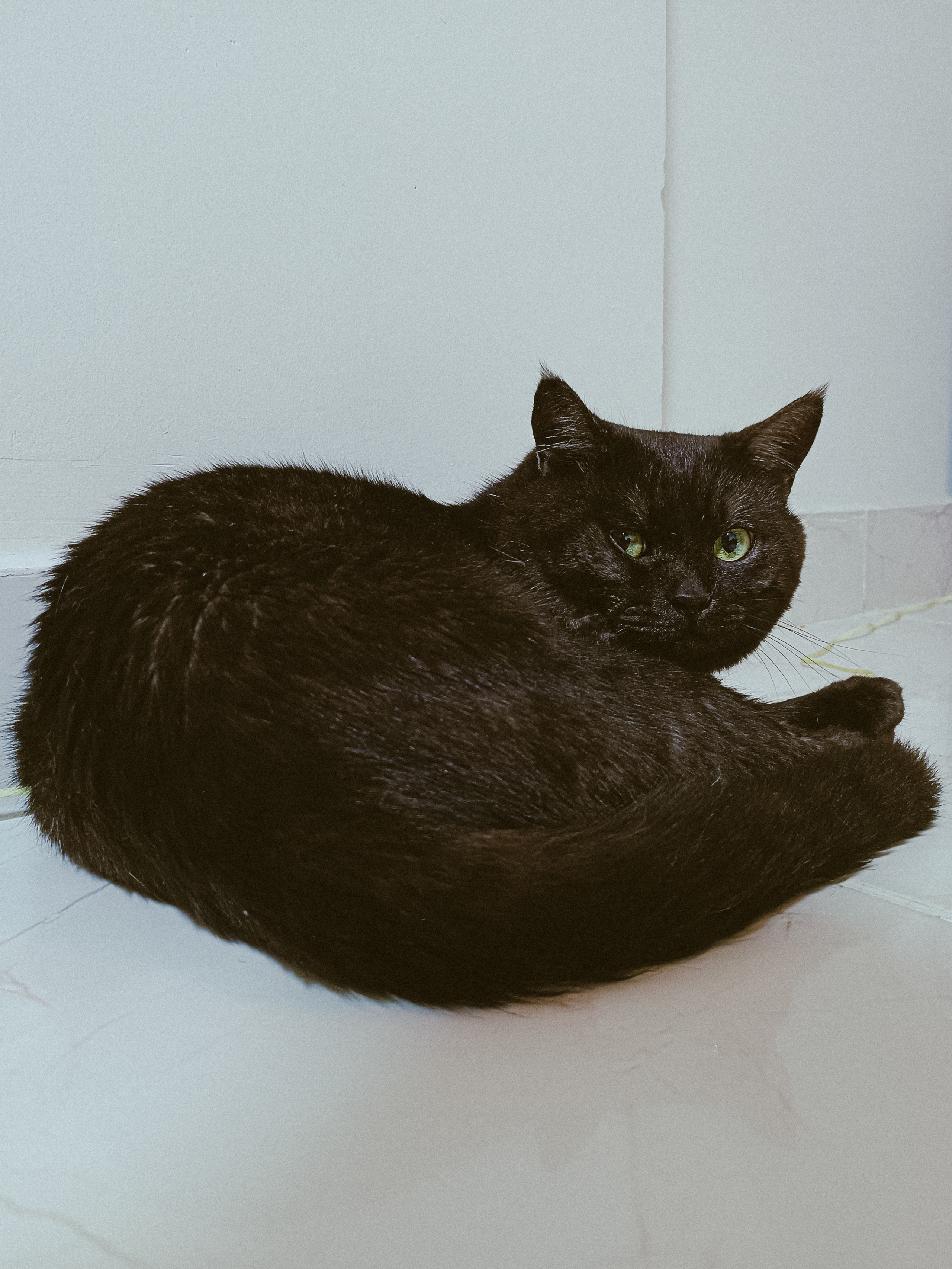 Мобильная. Jorgis — фотограф в Хургаде / обучение фотографии