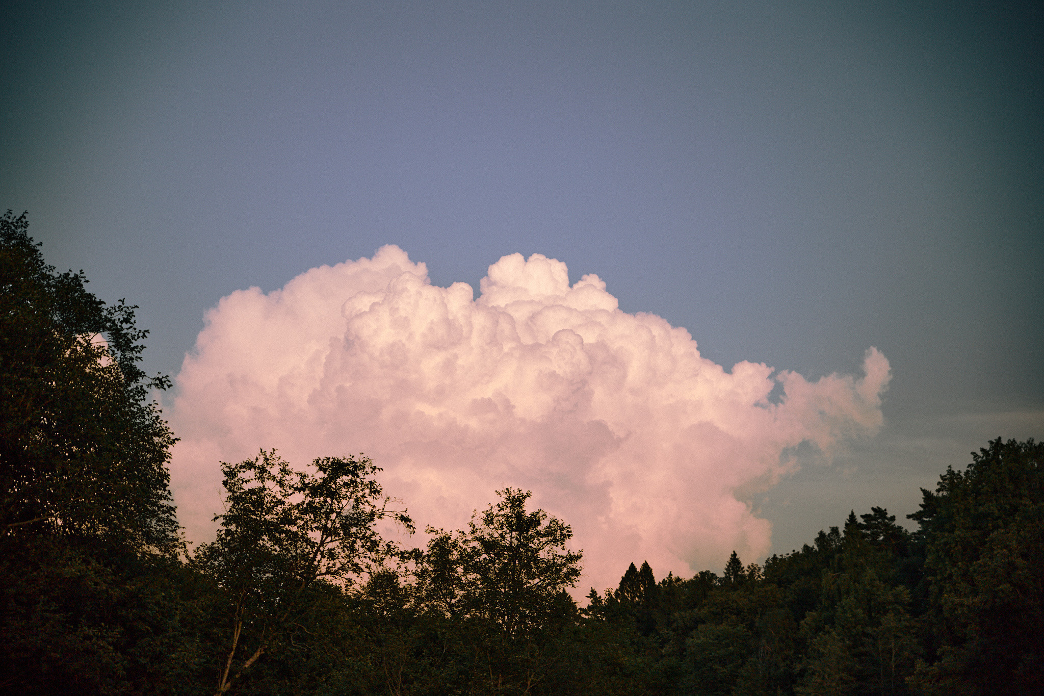 Улица горизонтальная. Jorgis — фотограф в Хургаде / обучение фотографии