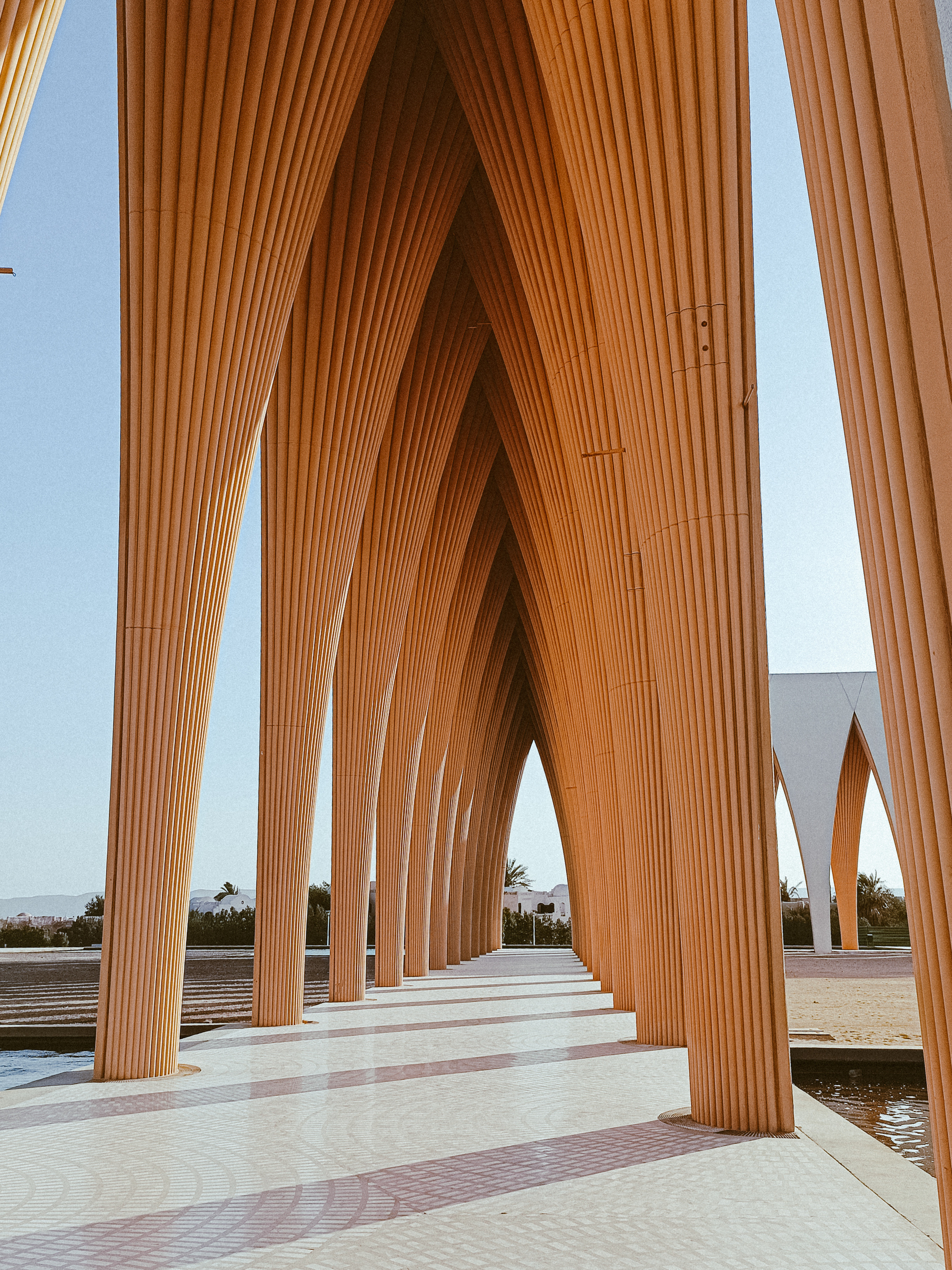 Мобильная. Jorgis — фотограф в Хургаде / обучение фотографии