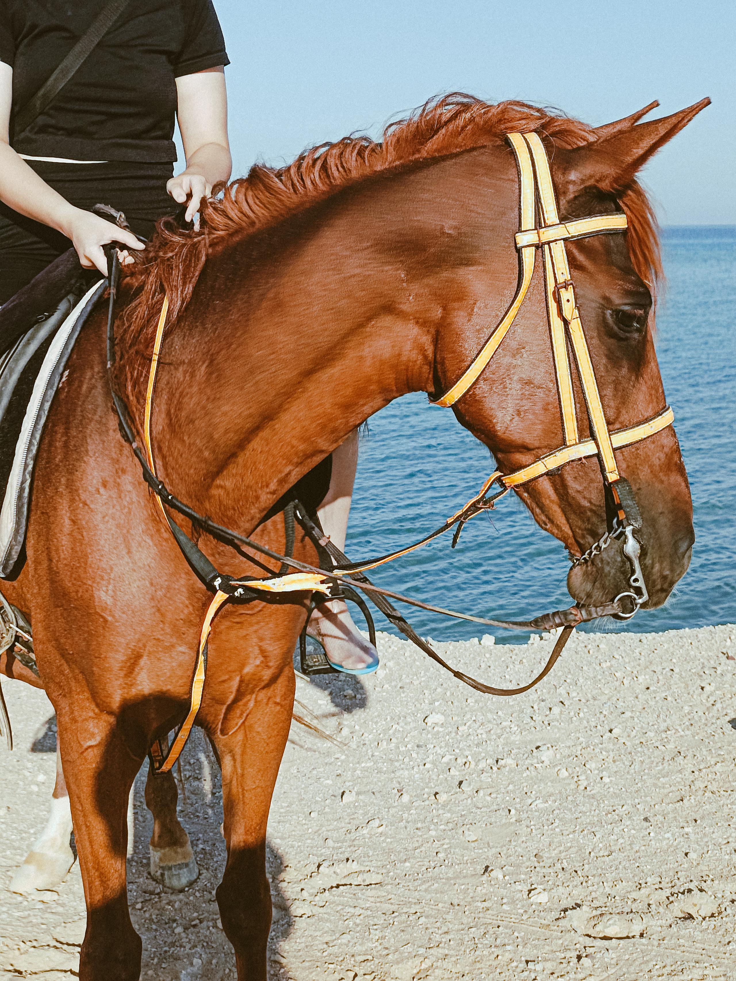 Мобильная. Jorgis — фотограф в Хургаде / обучение фотографии