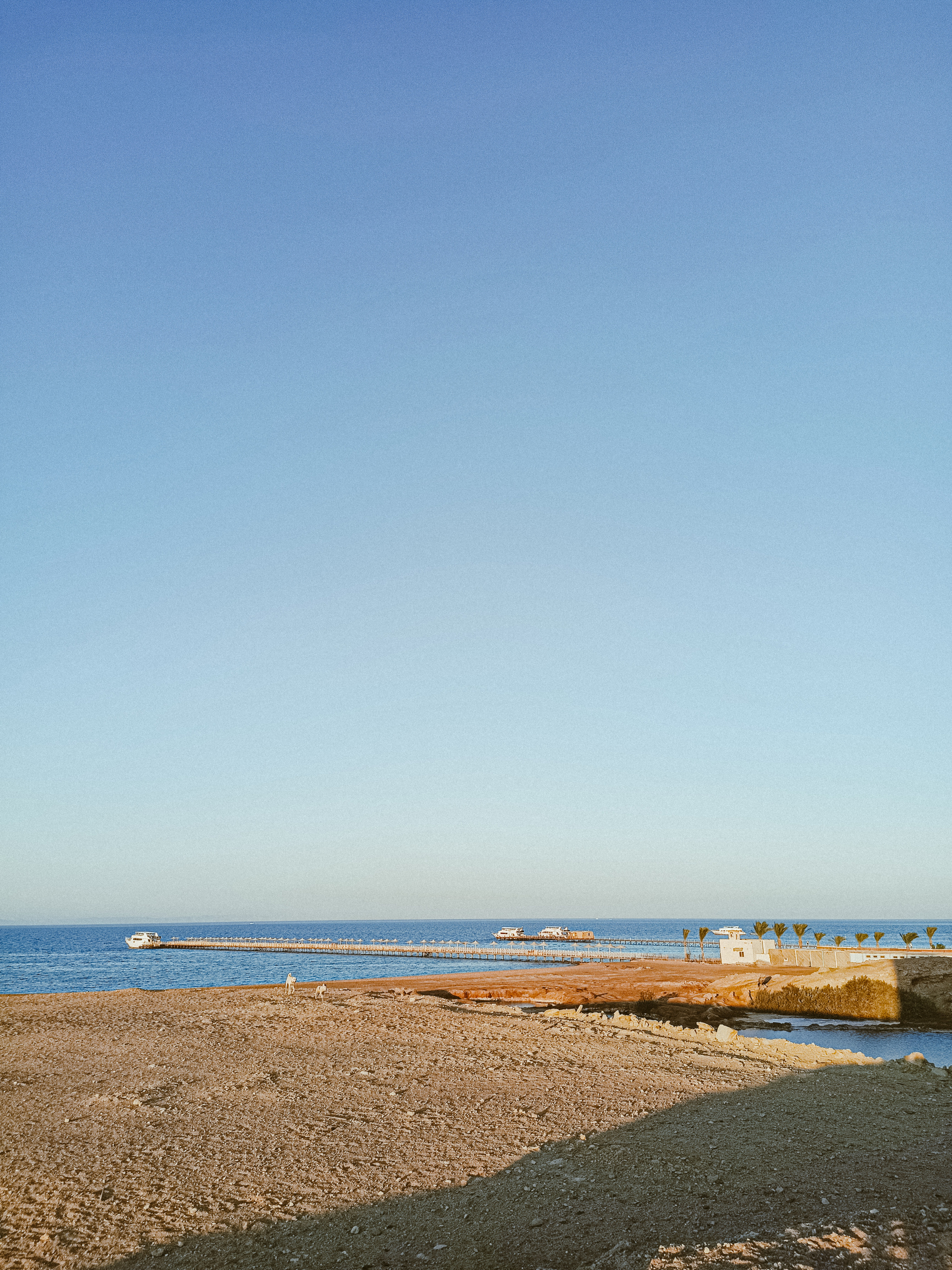 Мобильная. Jorgis — фотограф в Хургаде / обучение фотографии