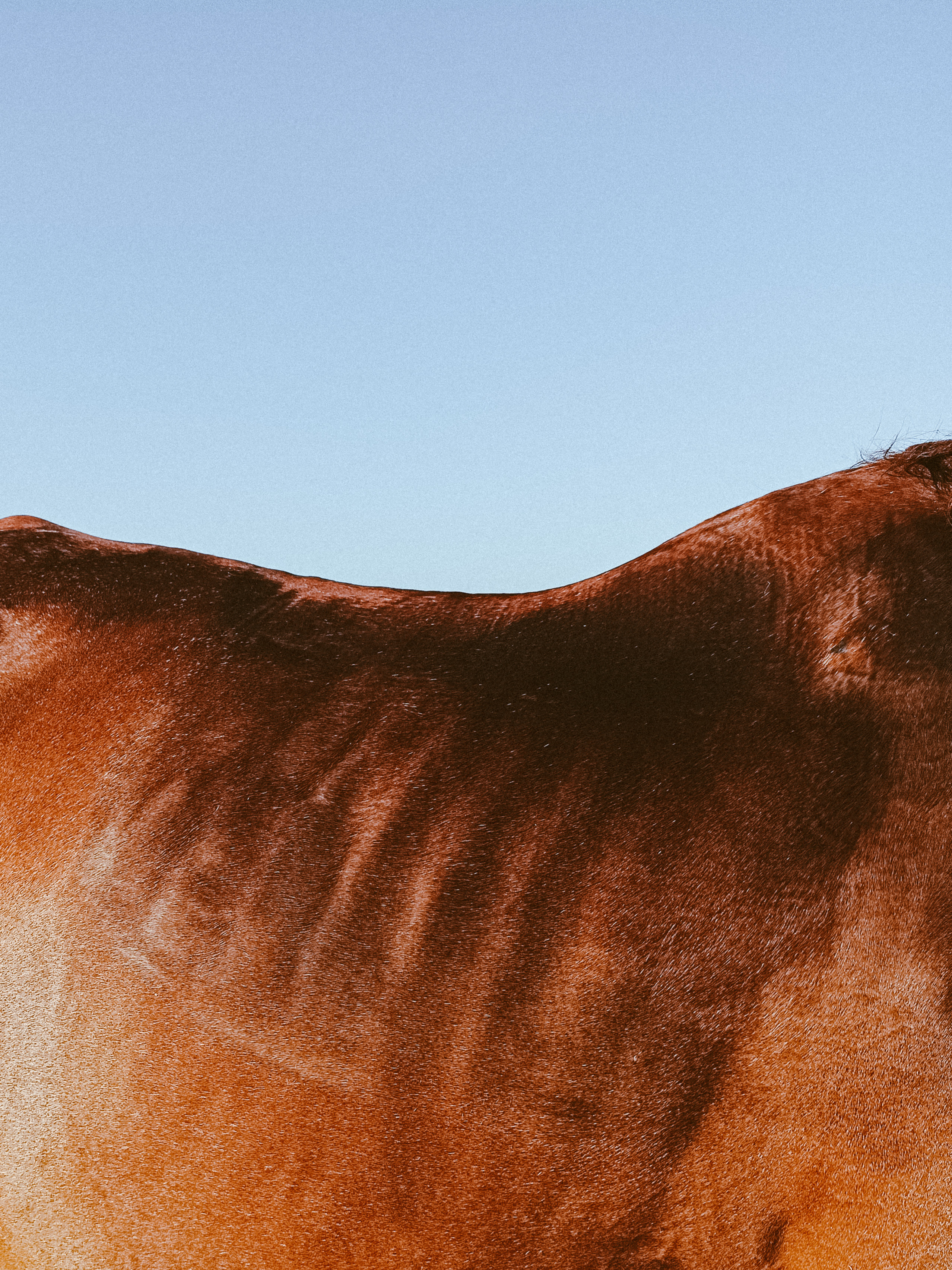 Мобильная. Jorgis — фотограф в Хургаде / обучение фотографии