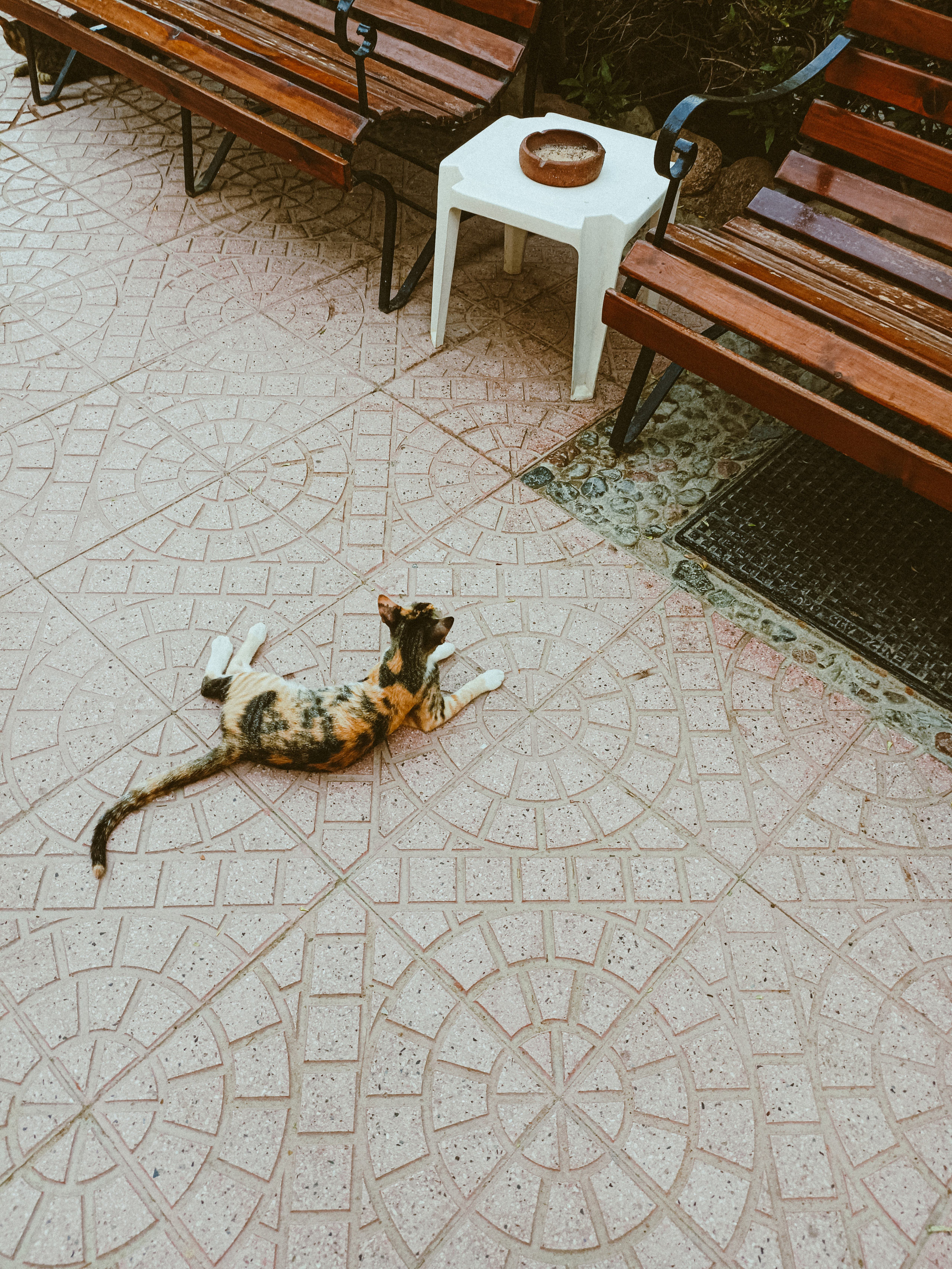 Мобильная. Jorgis — фотограф в Хургаде / обучение фотографии