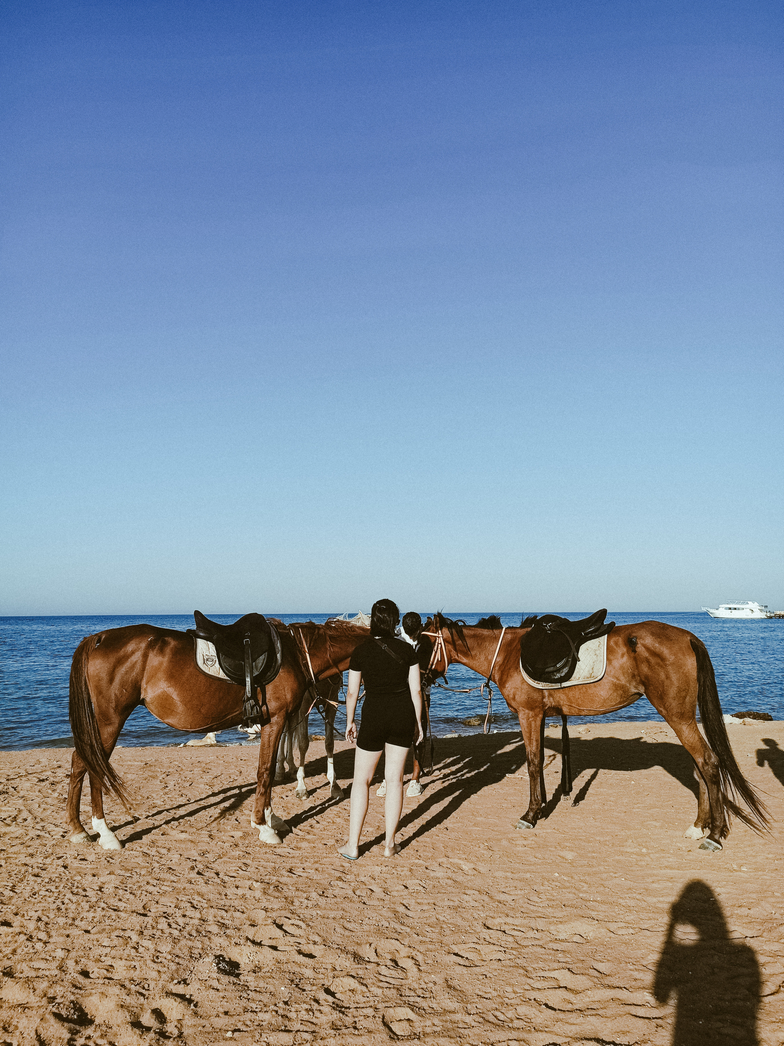 Мобильная. Jorgis — фотограф в Хургаде / обучение фотографии