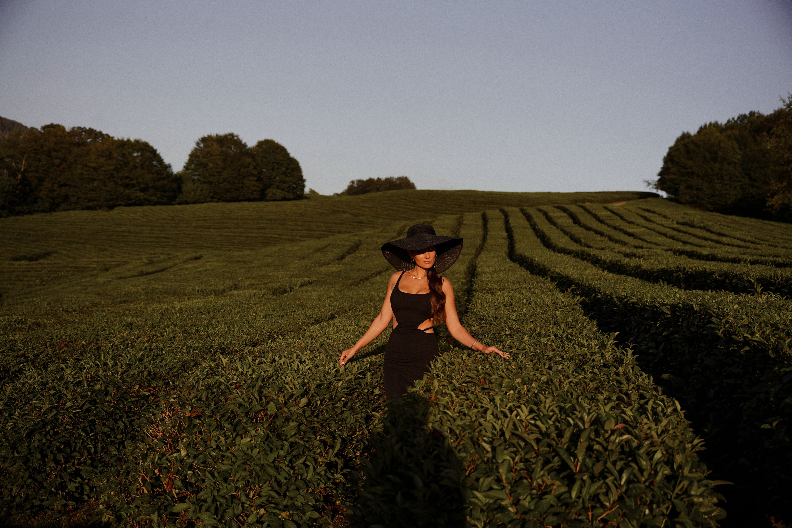 Фотосессия на чайных плантациях. Свадебный и семейный фотограф в Сочи Денис Вялов