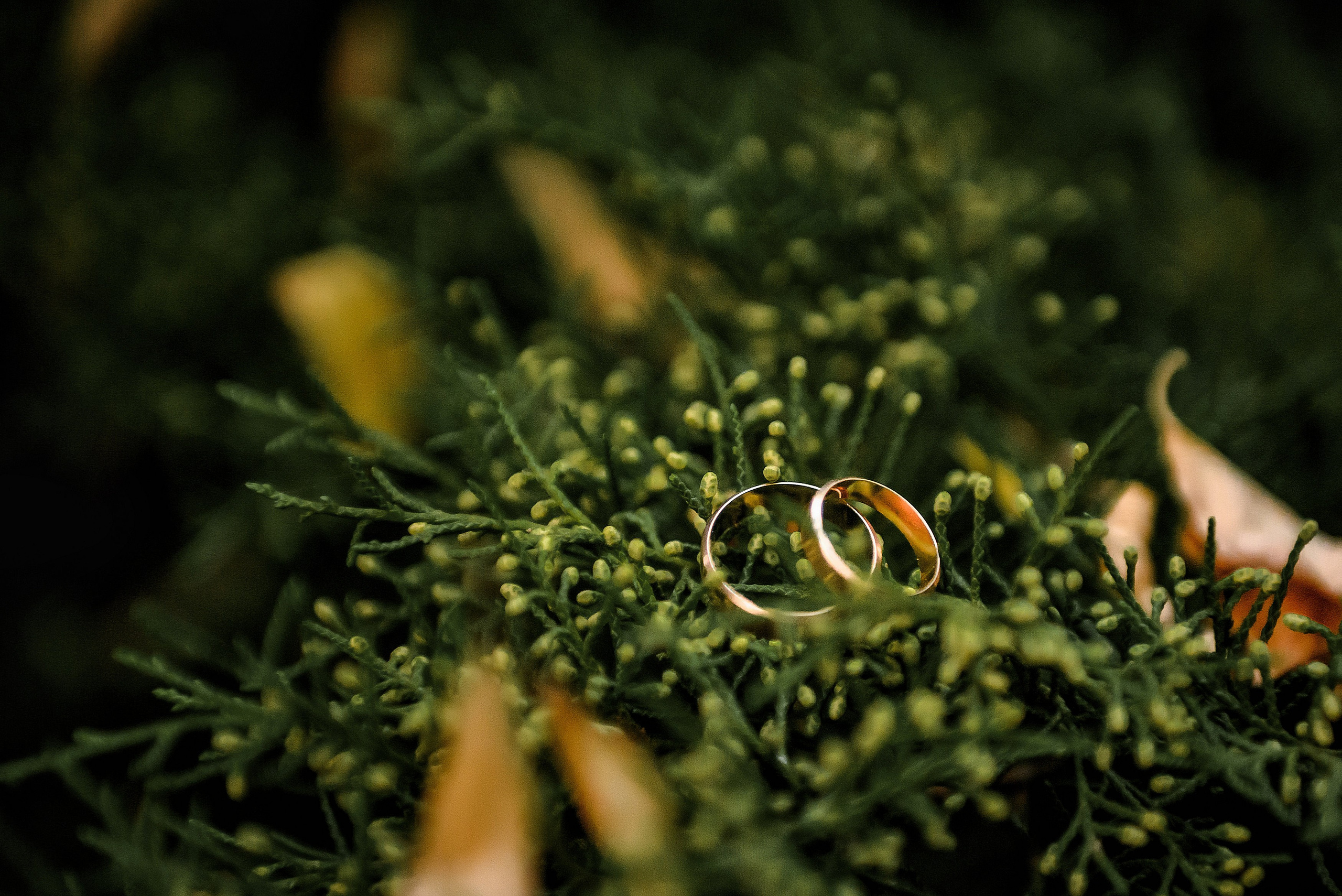 Ваня и Катя