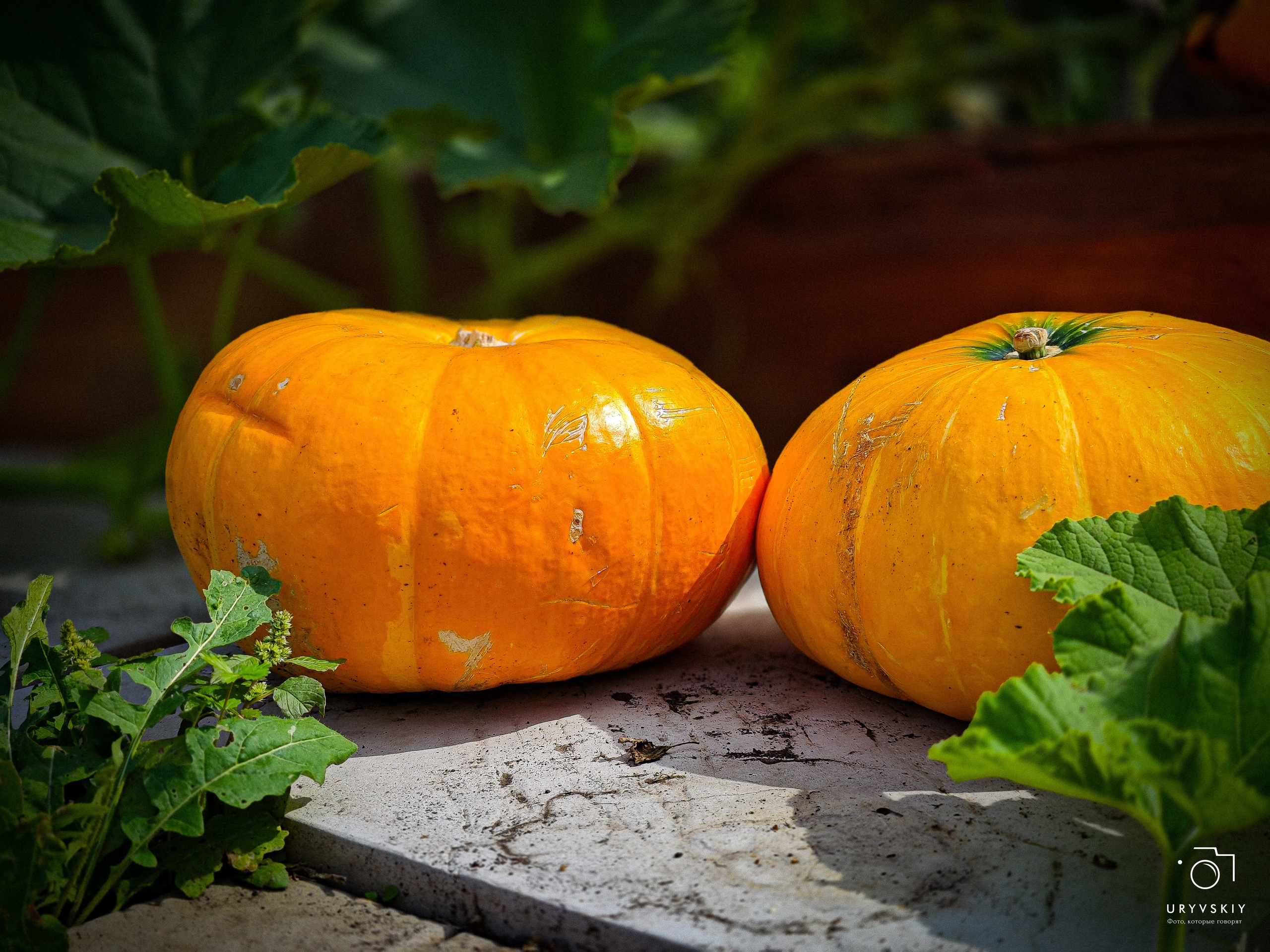 Арт пространство «Хлебзавод». Игорь Урывский. Фотограф Красноярск
