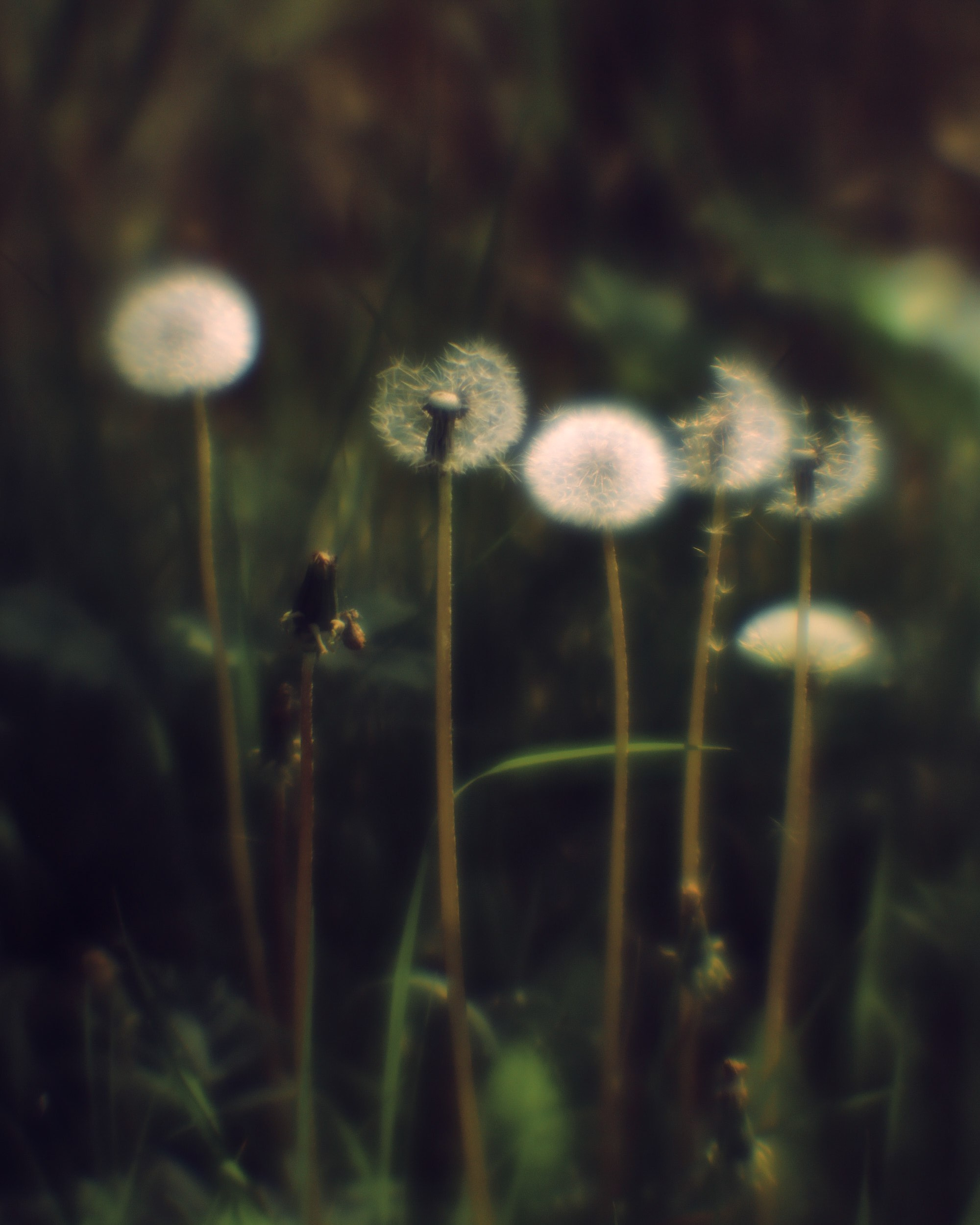 Фотограф Юлия Глазкова